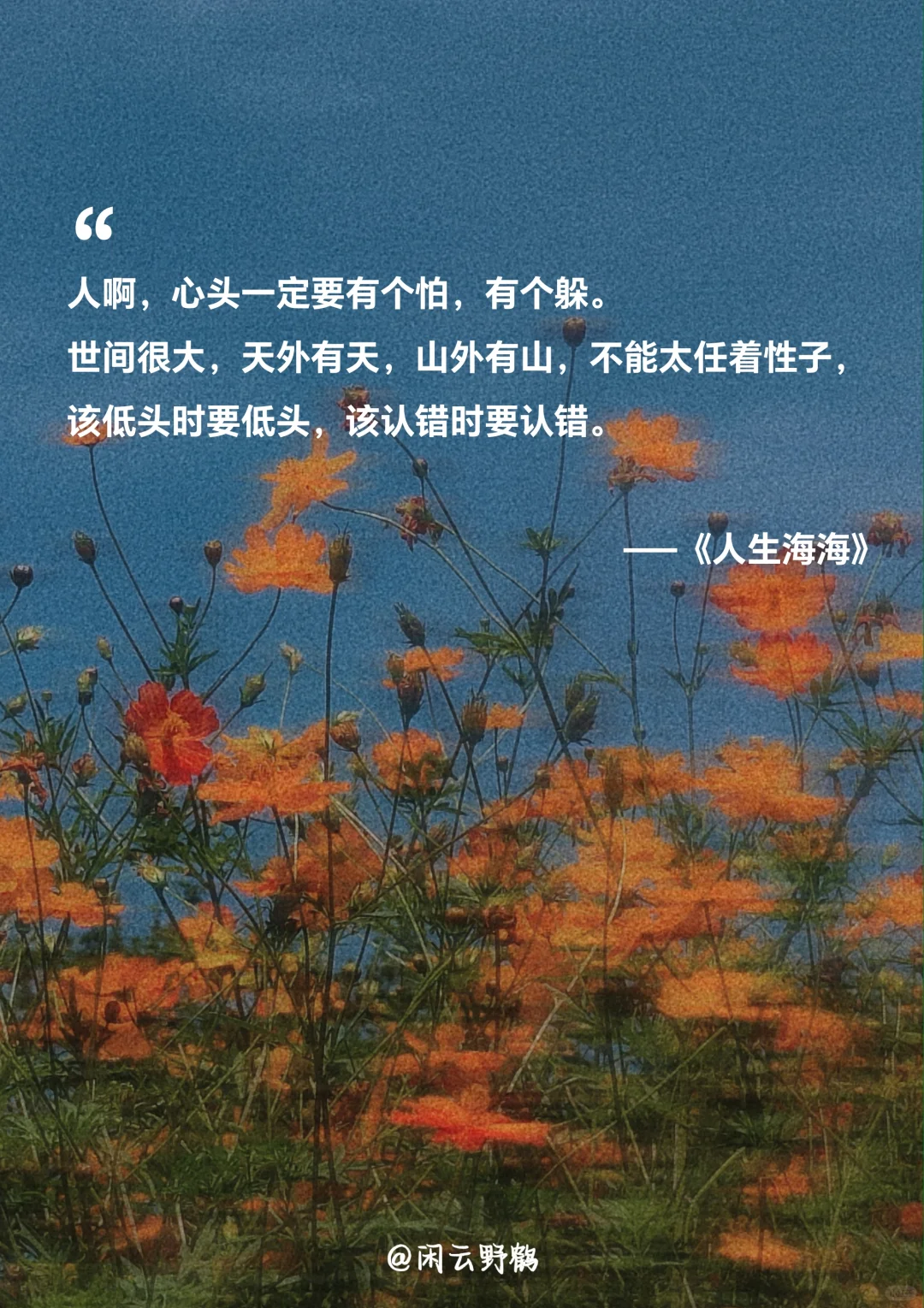 📖“人生海海，山山而川，不过尔尔”