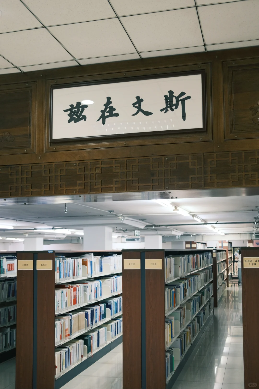中文系 |“从容读书的时代已经过去。”