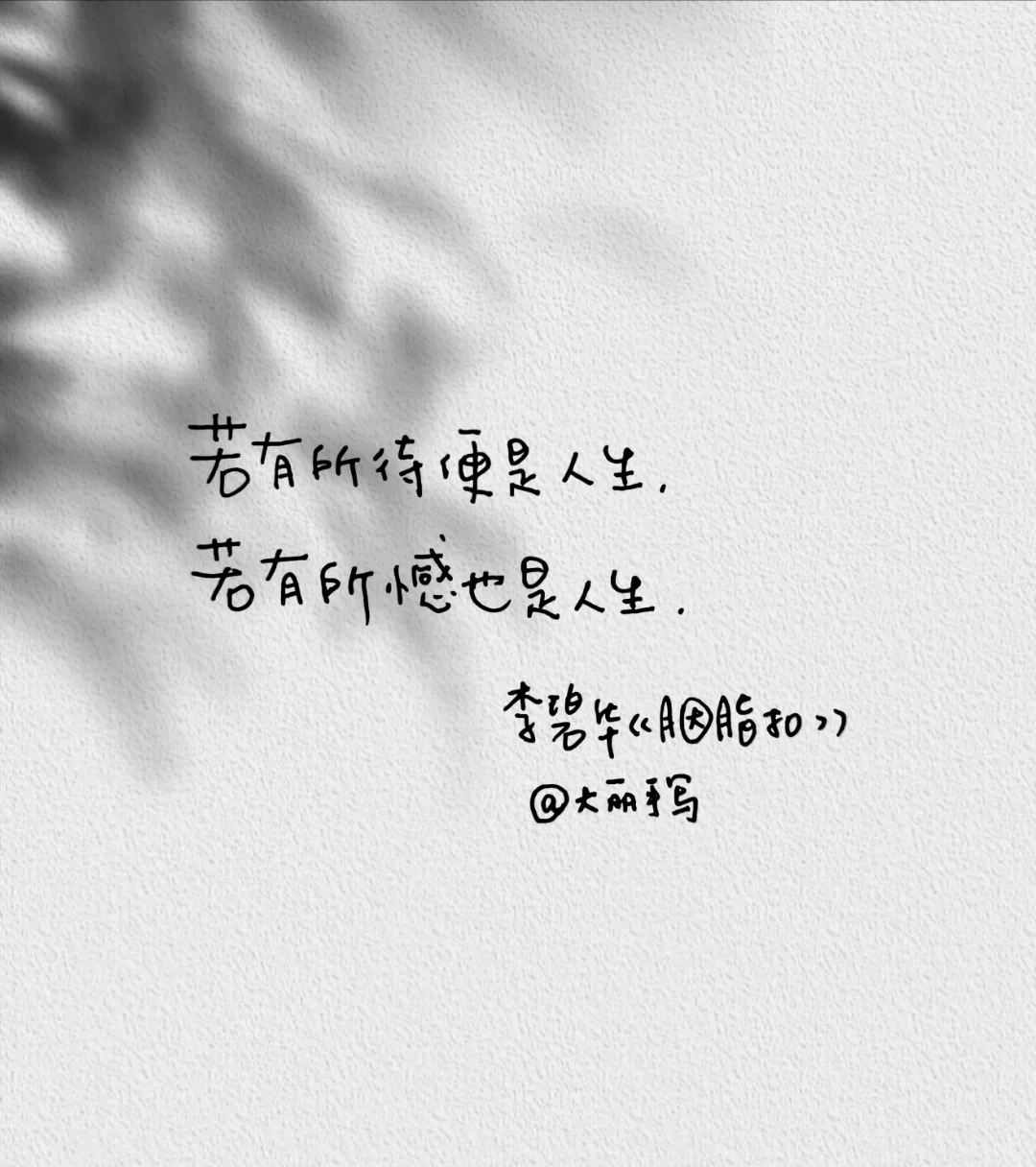 李碧华经典语录|手写摘抄