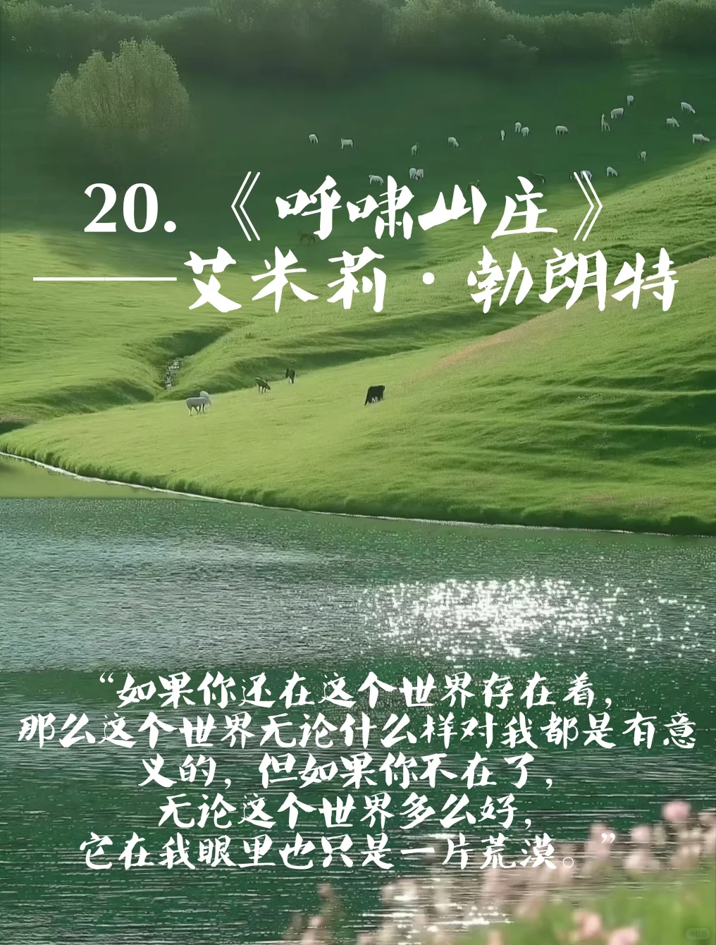 千万不要错过的书单！经典语录让你彻透！