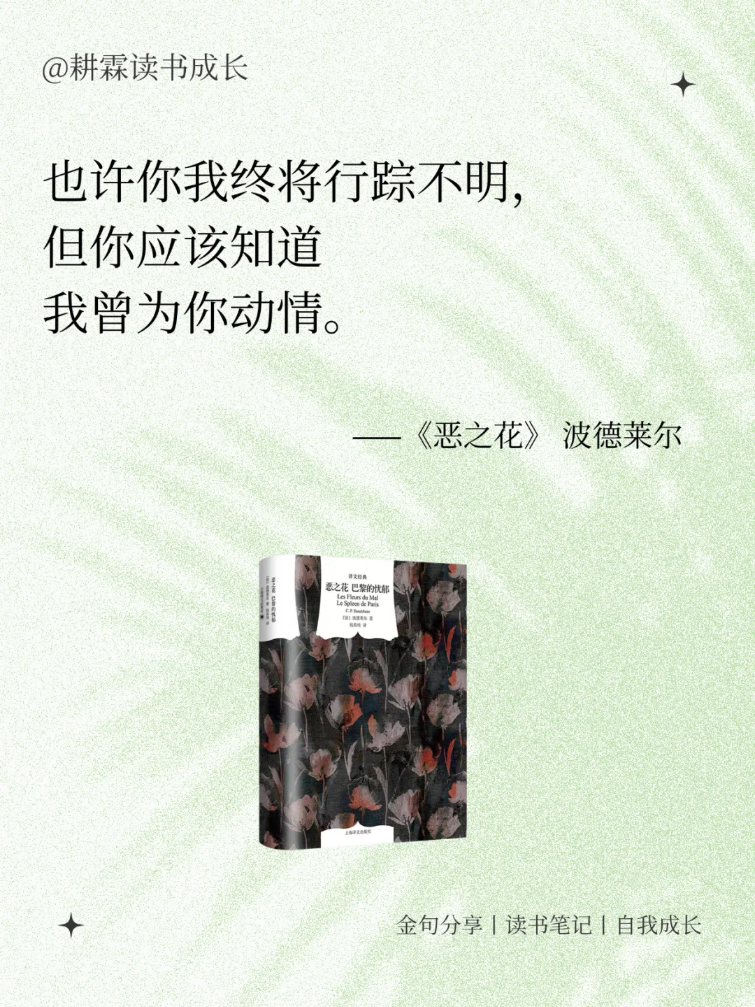 世界名著美到窒息的封神名句