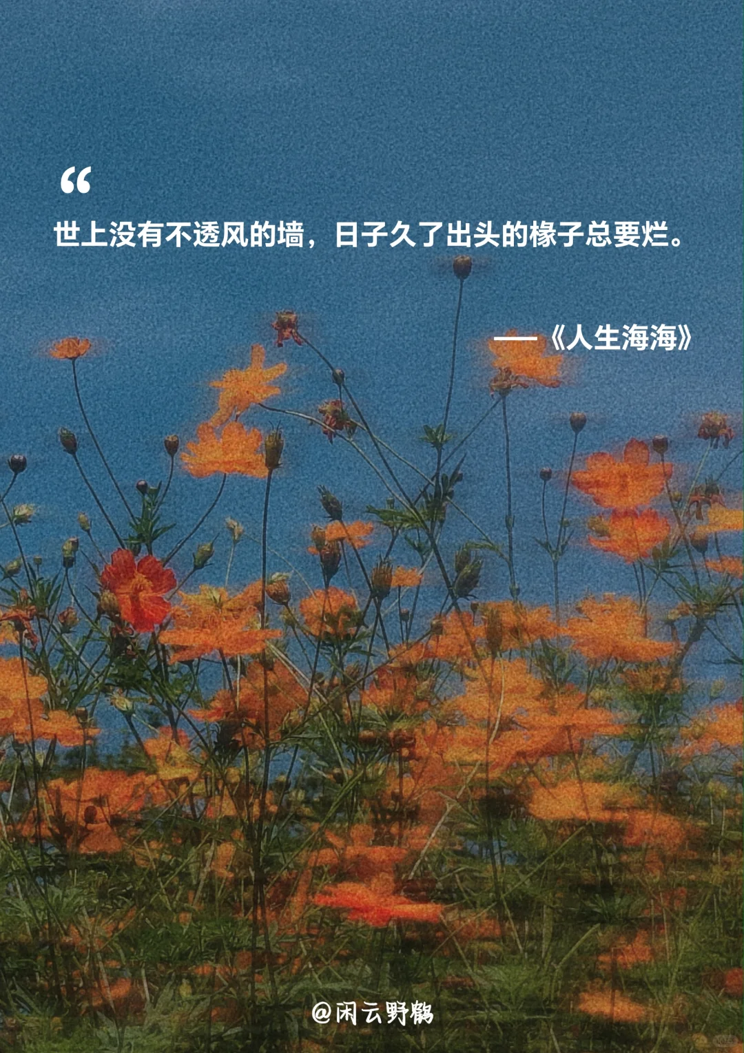 📖“人生海海，山山而川，不过尔尔”