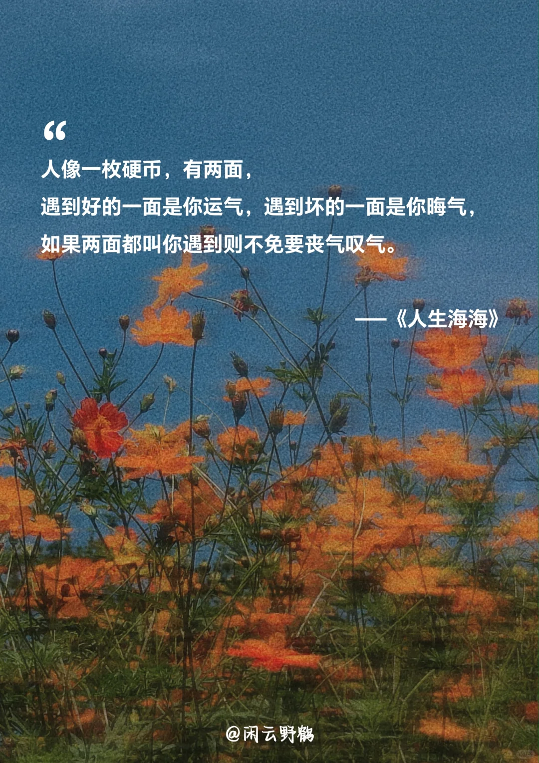 📖“人生海海，山山而川，不过尔尔”
