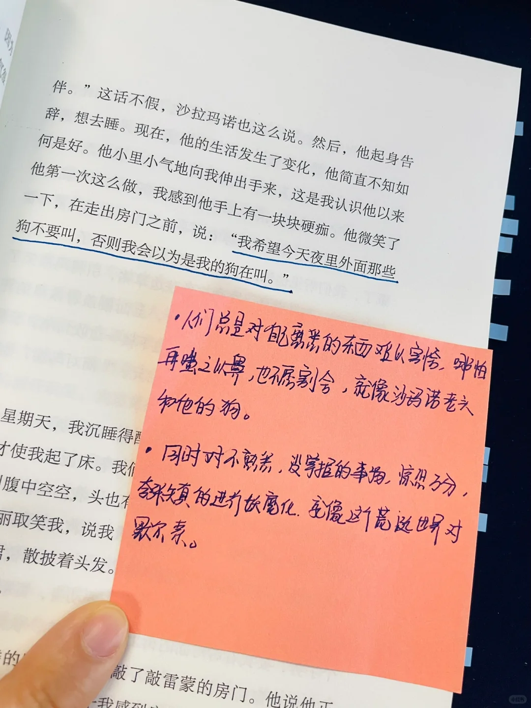 豆瓣9.5🔑看过最好的小说，震撼得双手颤抖❕