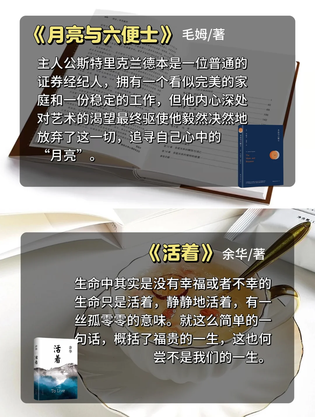 巨好看的小说‼️不允许有人不知道