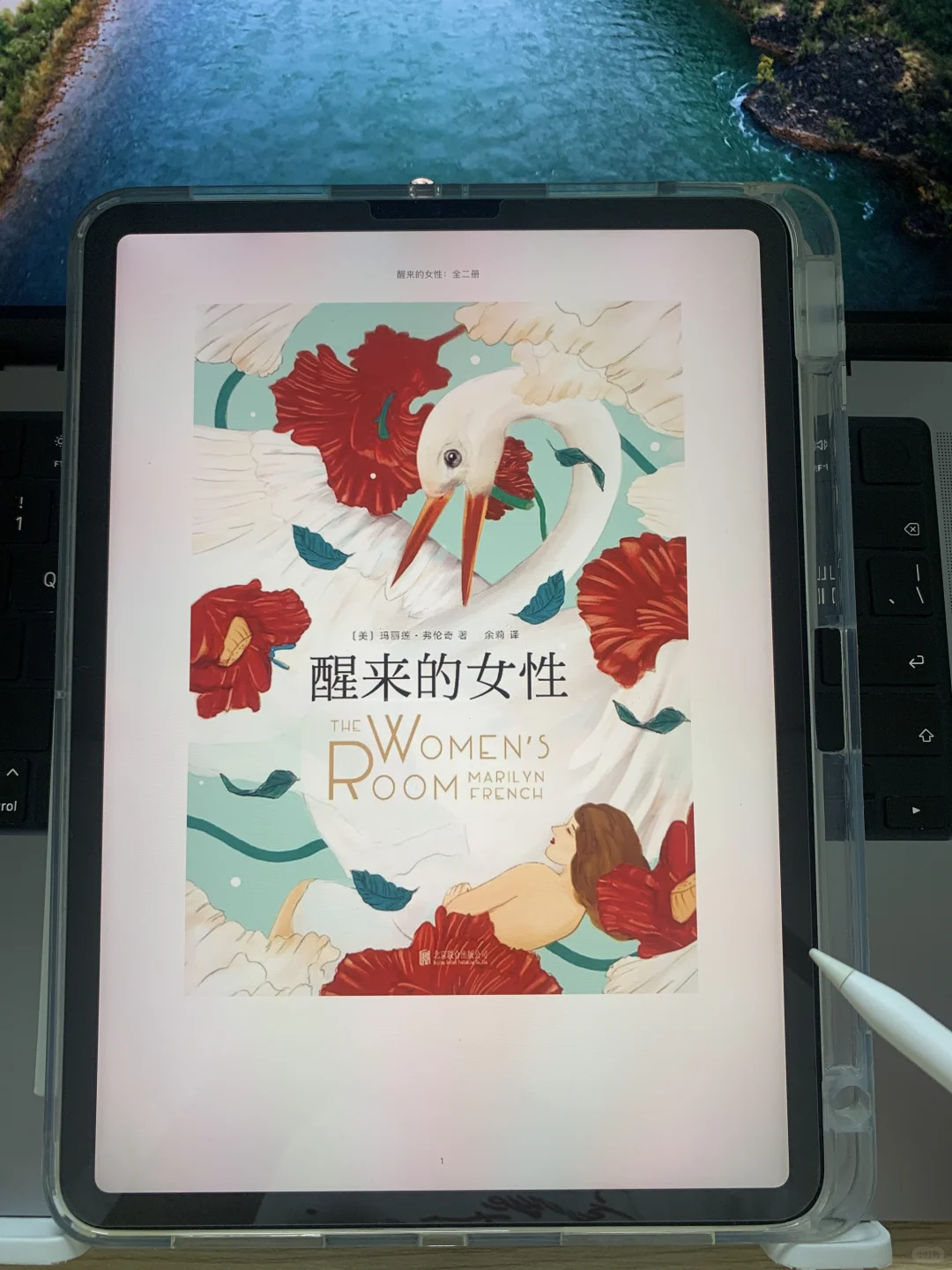 感谢小红书，电子书自由啦啊啊啊