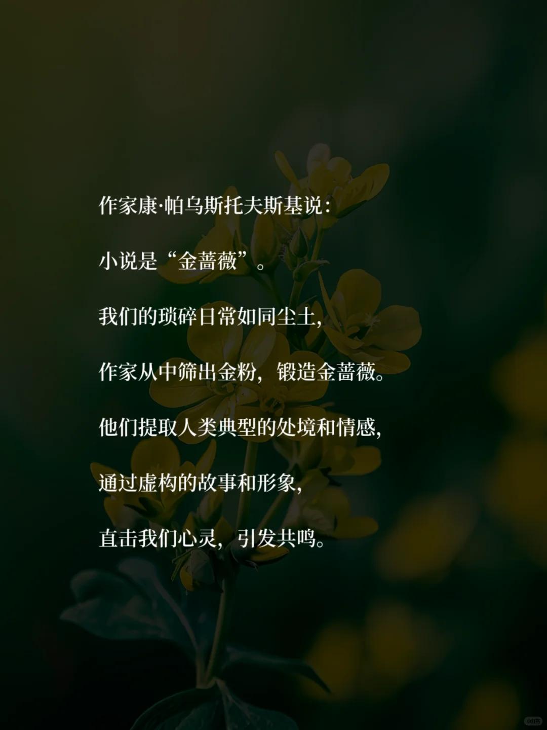 40+中年少女，读书治·愈你的职场精神内耗