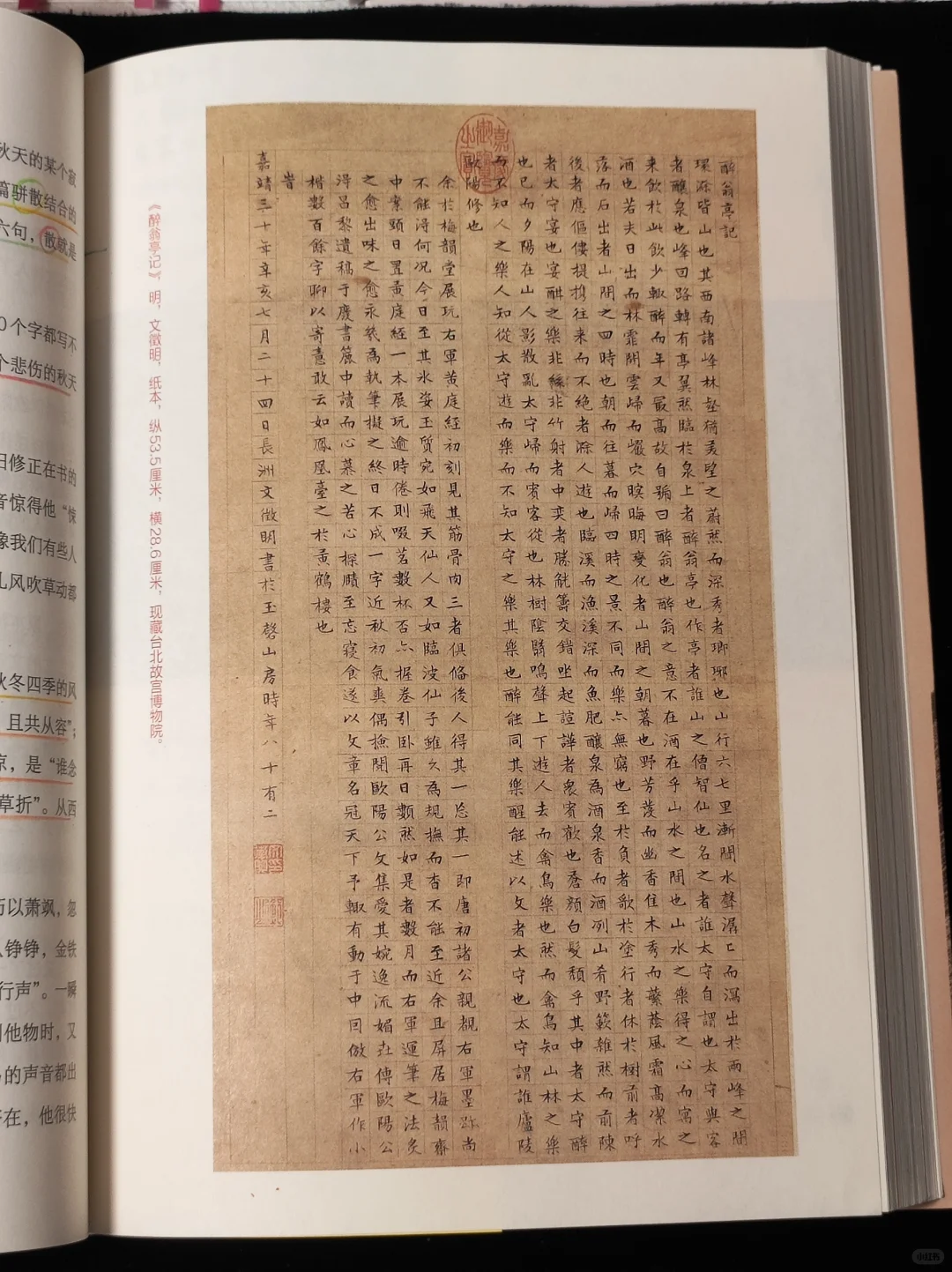 女生一定要趁早读历史，暴涨知识格局炸裂❗
