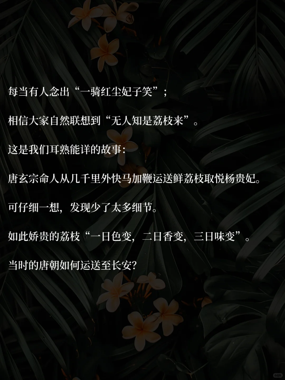 40+中年少女，读书治·愈你的职场精神内耗