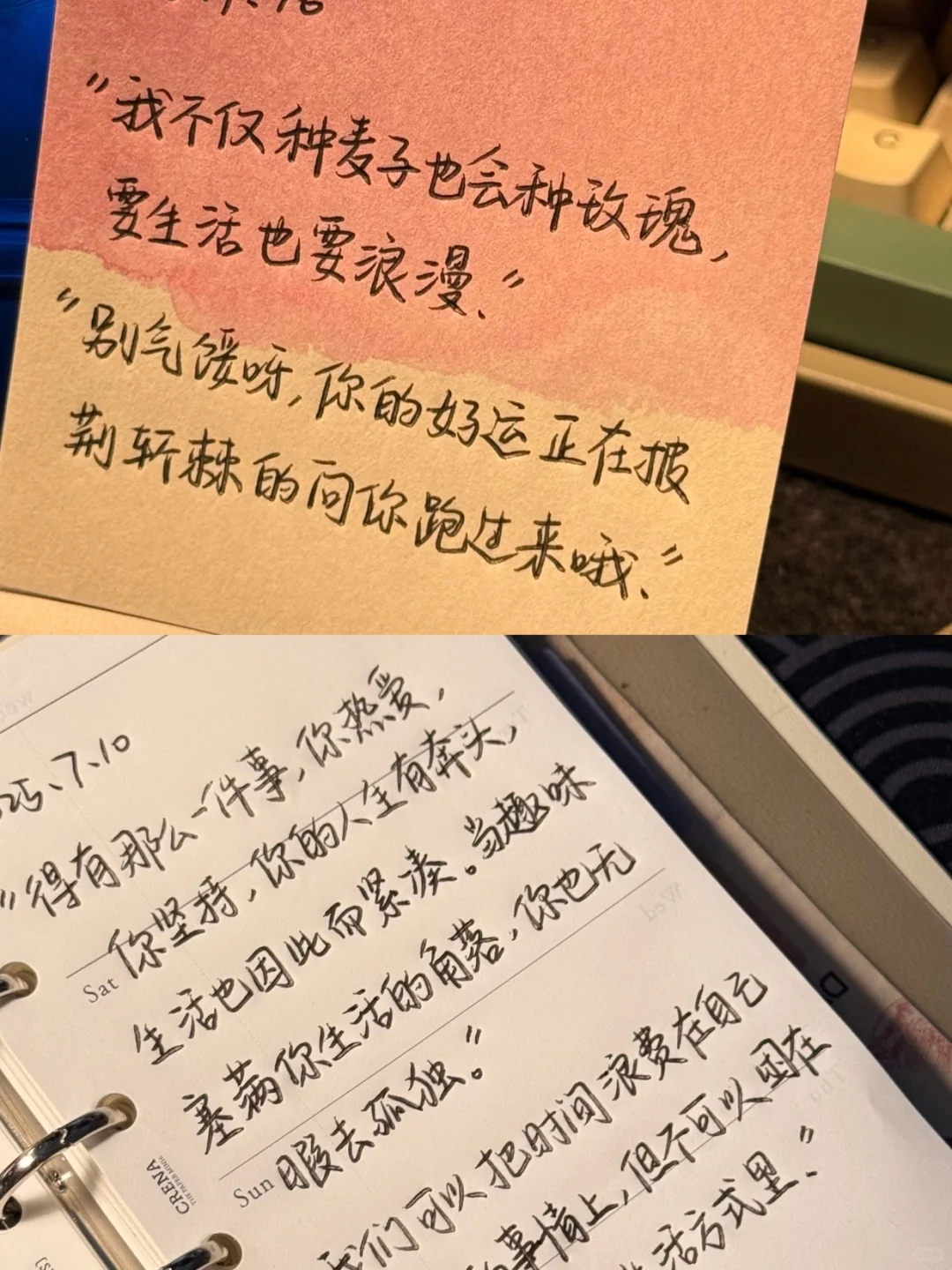 突然觉得读了都值得的书📚