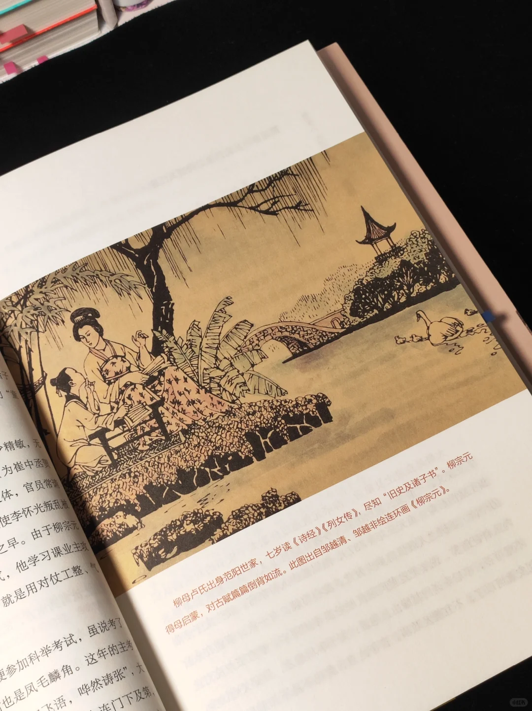 女生一定要趁早读历史，暴涨知识格局炸裂❗