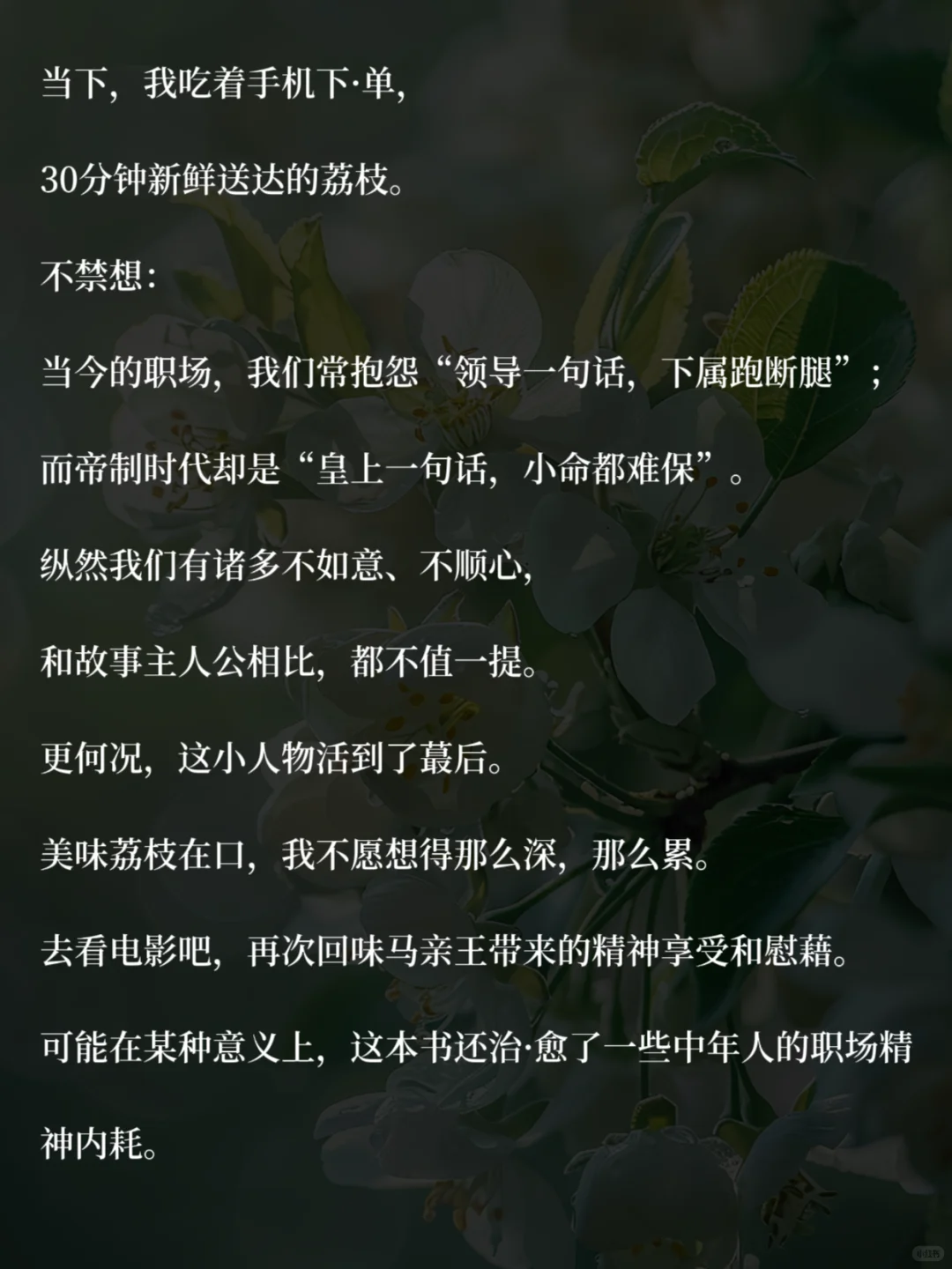 40+中年少女，读书治·愈你的职场精神内耗