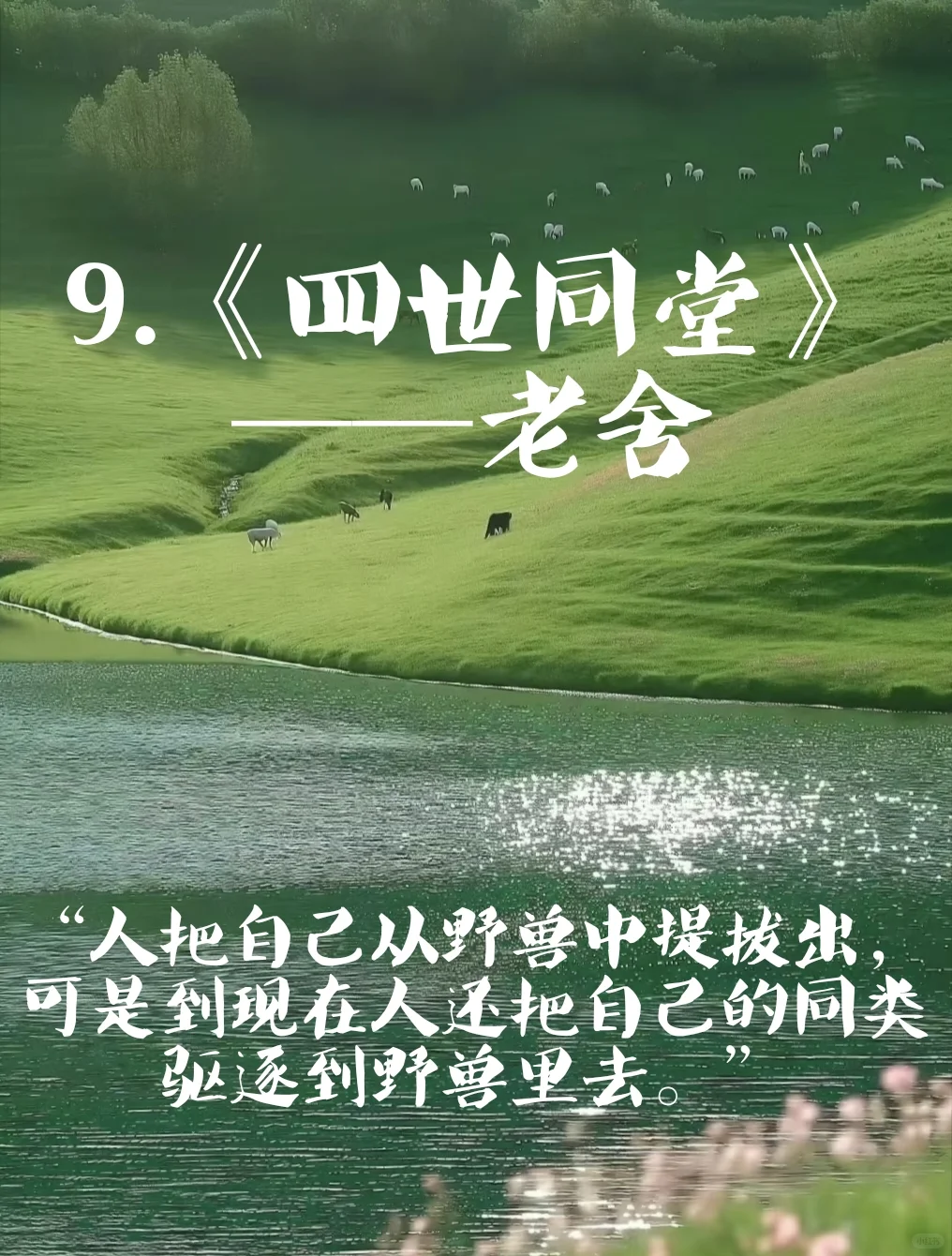 千万不要错过的书单！让你自信独立！