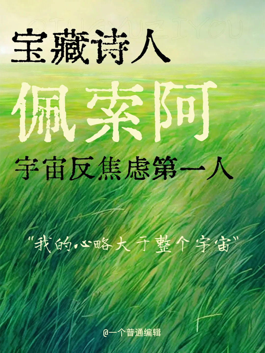 句子丨我的心略大于整个宇宙