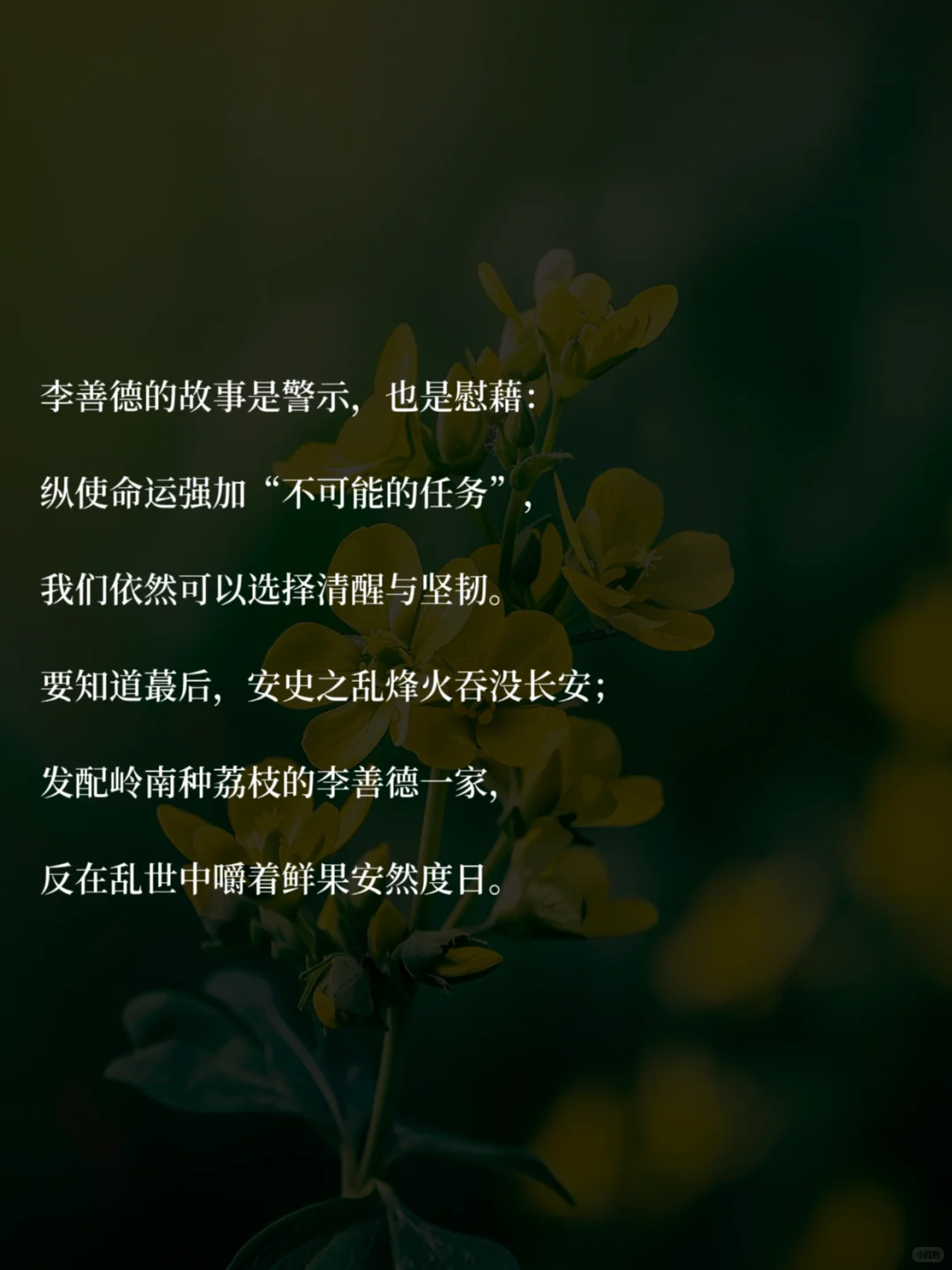 40+中年少女，读书治·愈你的职场精神内耗