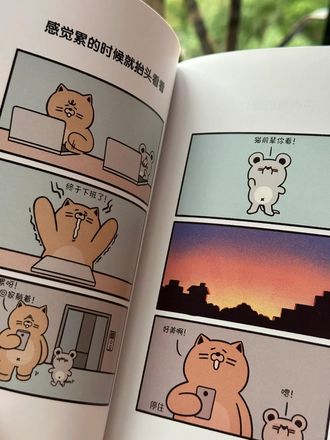 🍃太太太解压了！这本书我真的太喜欢了～