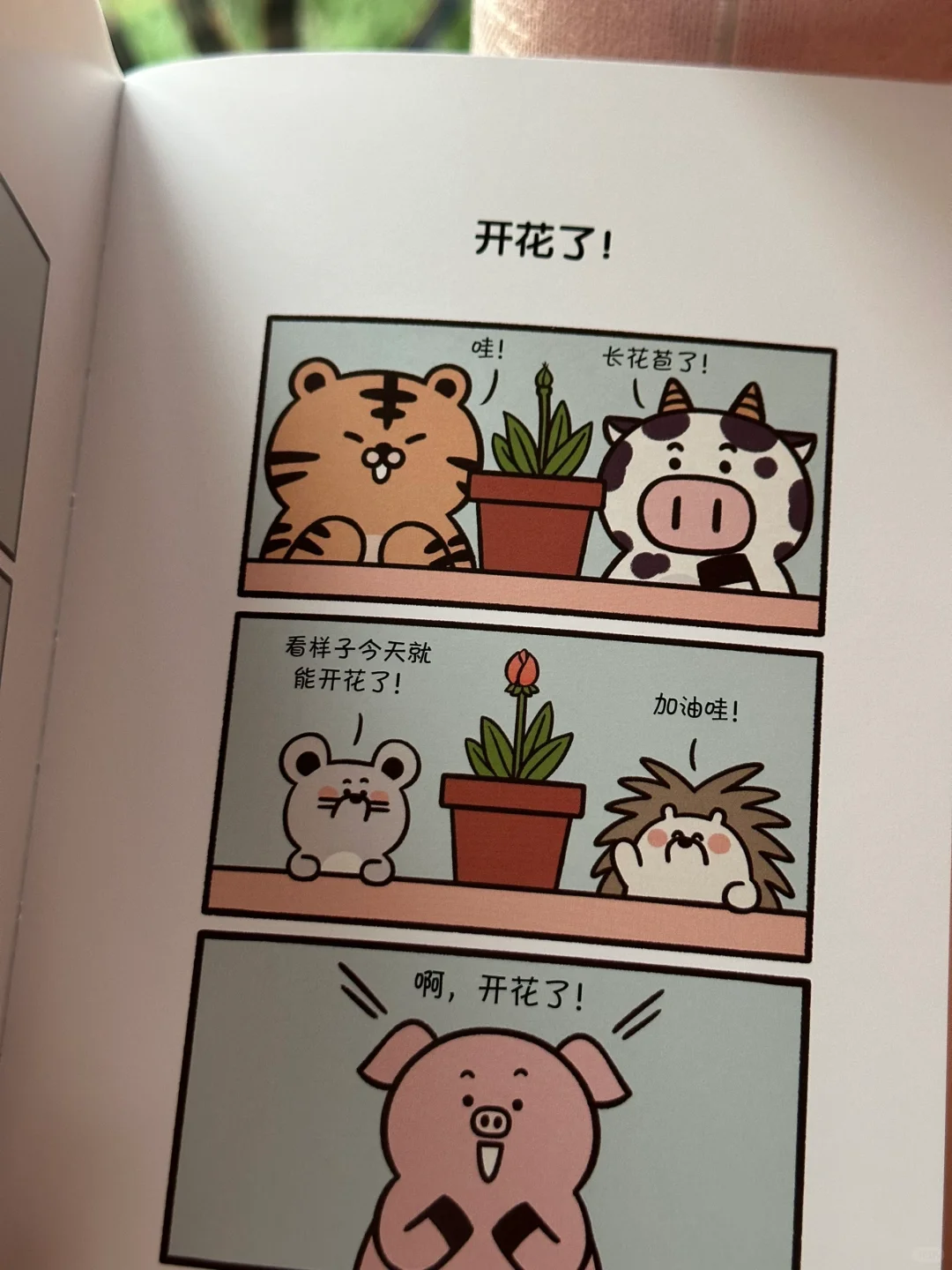 🍃太太太解压了！这本书我真的太喜欢了～