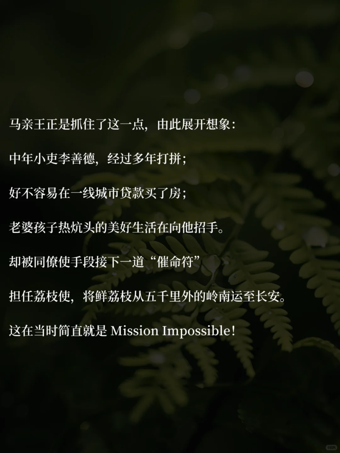 40+中年少女，读书治·愈你的职场精神内耗