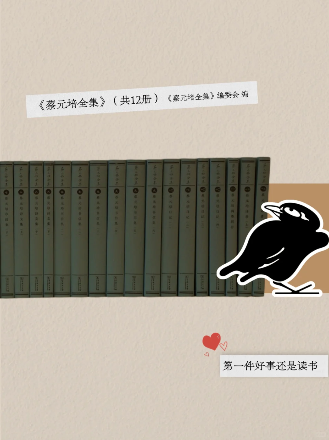 七月新书推荐 | 书海觅凉，拯救炎夏书荒
