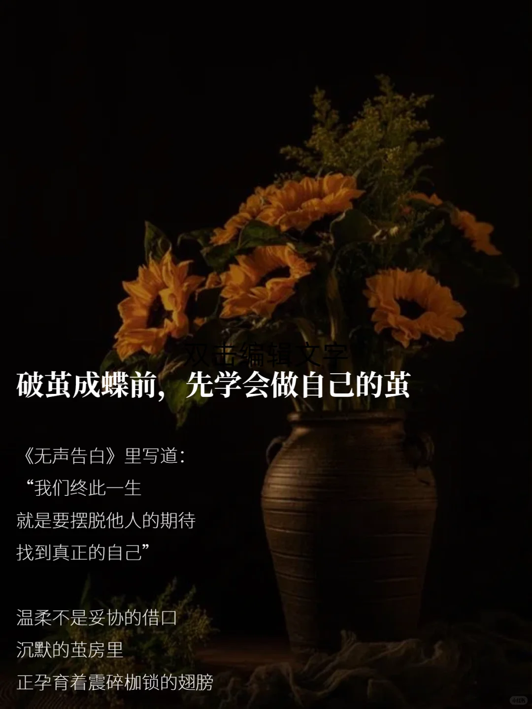 破茧成蝶前 先学会做自己的茧