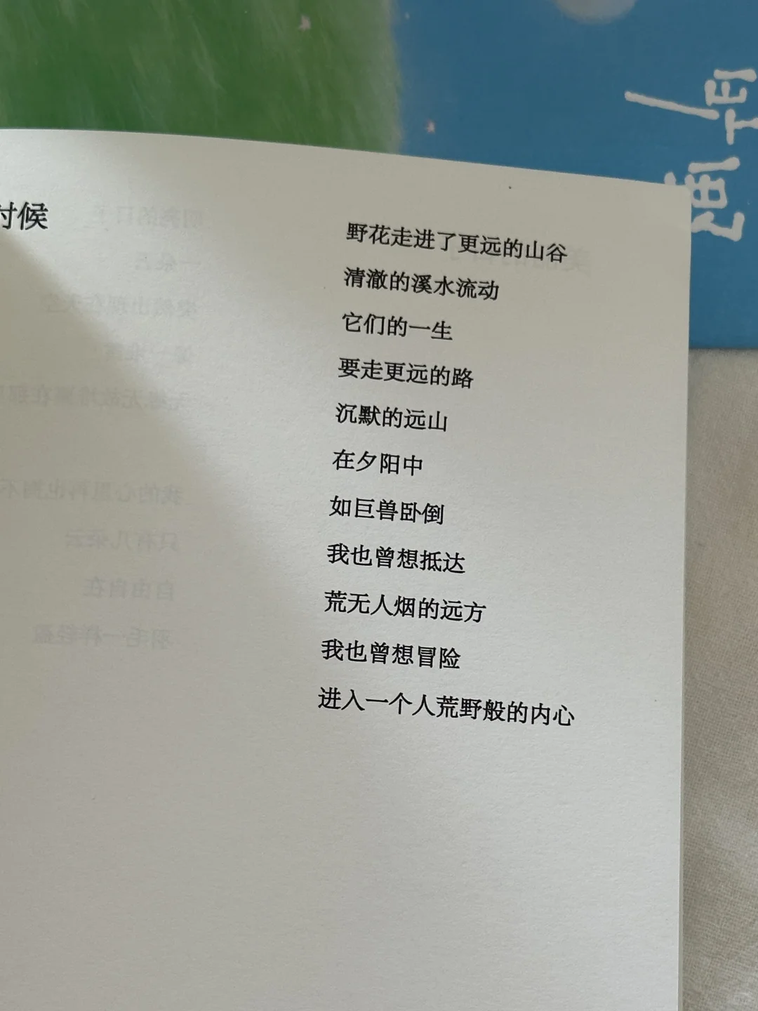 美到让人心醉！这本诗集真的太太治愈了