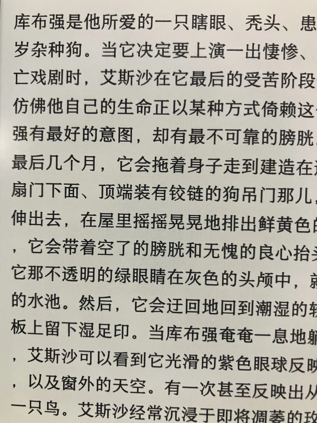猜猜哪个是Kindle？！