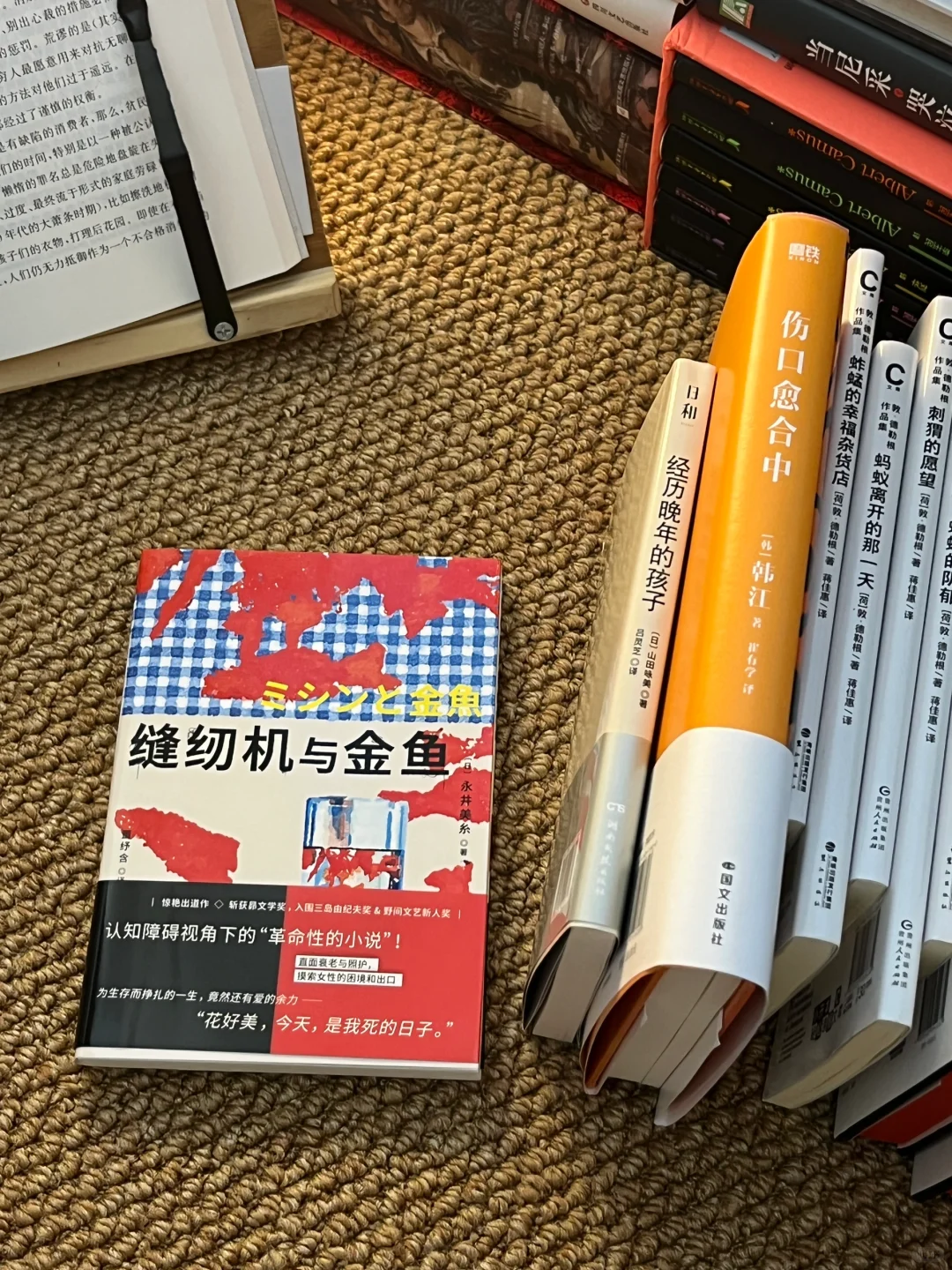 一份夏日轻松无压力中短篇书单合集