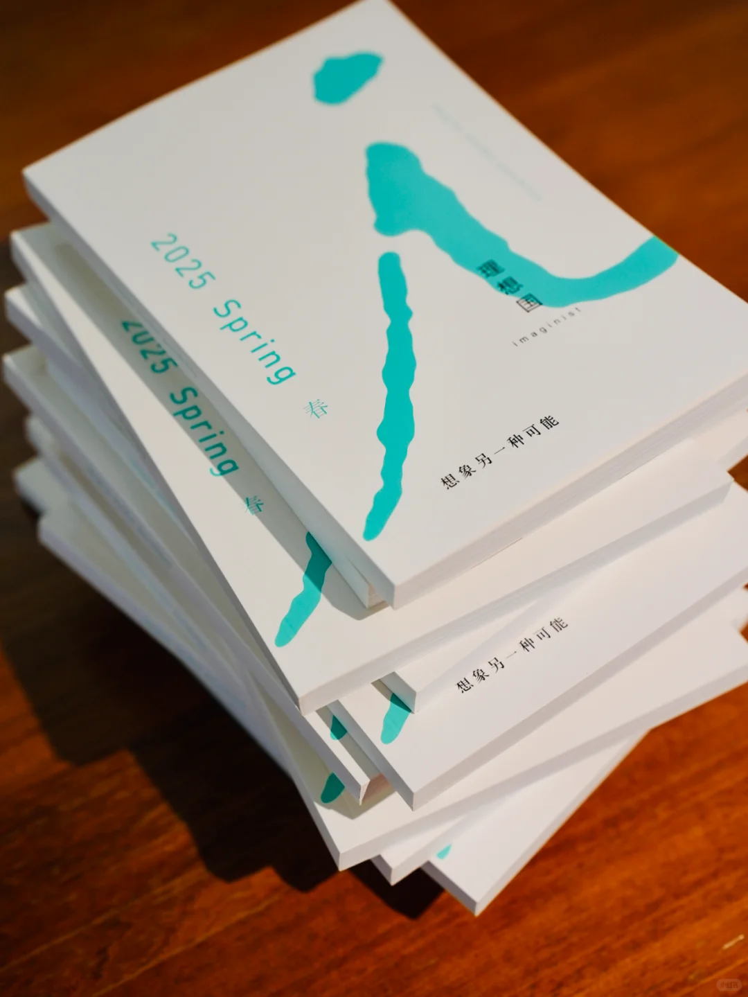 理想国2025书目来啦！点击领取电子版~