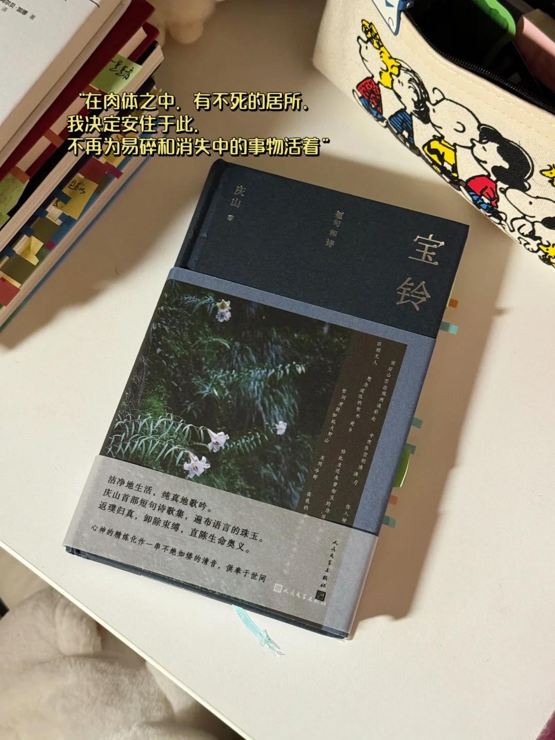 几本好看的口袋书单！