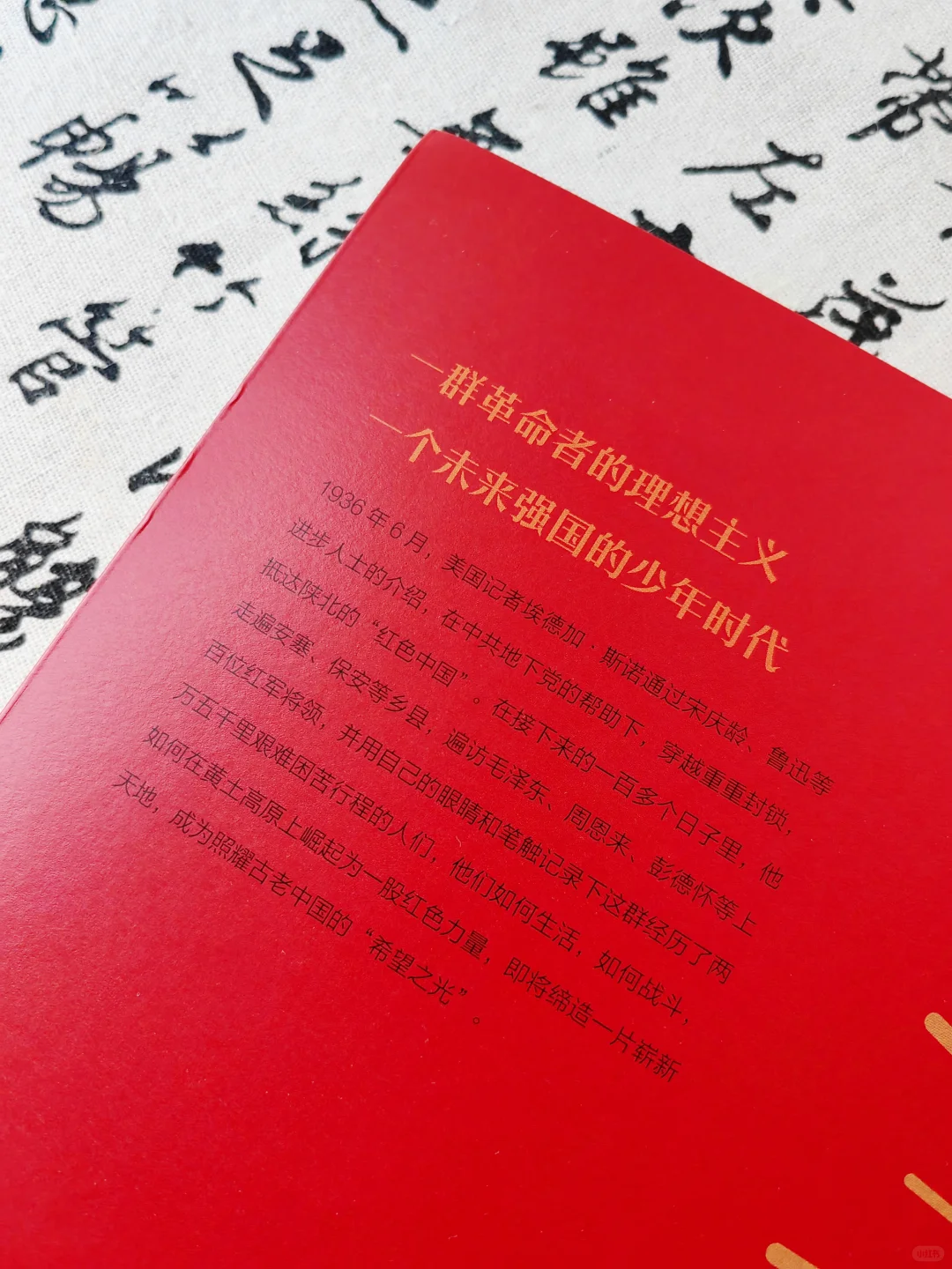 源能书单❗如果最近能量太低就来读书吧❗️
