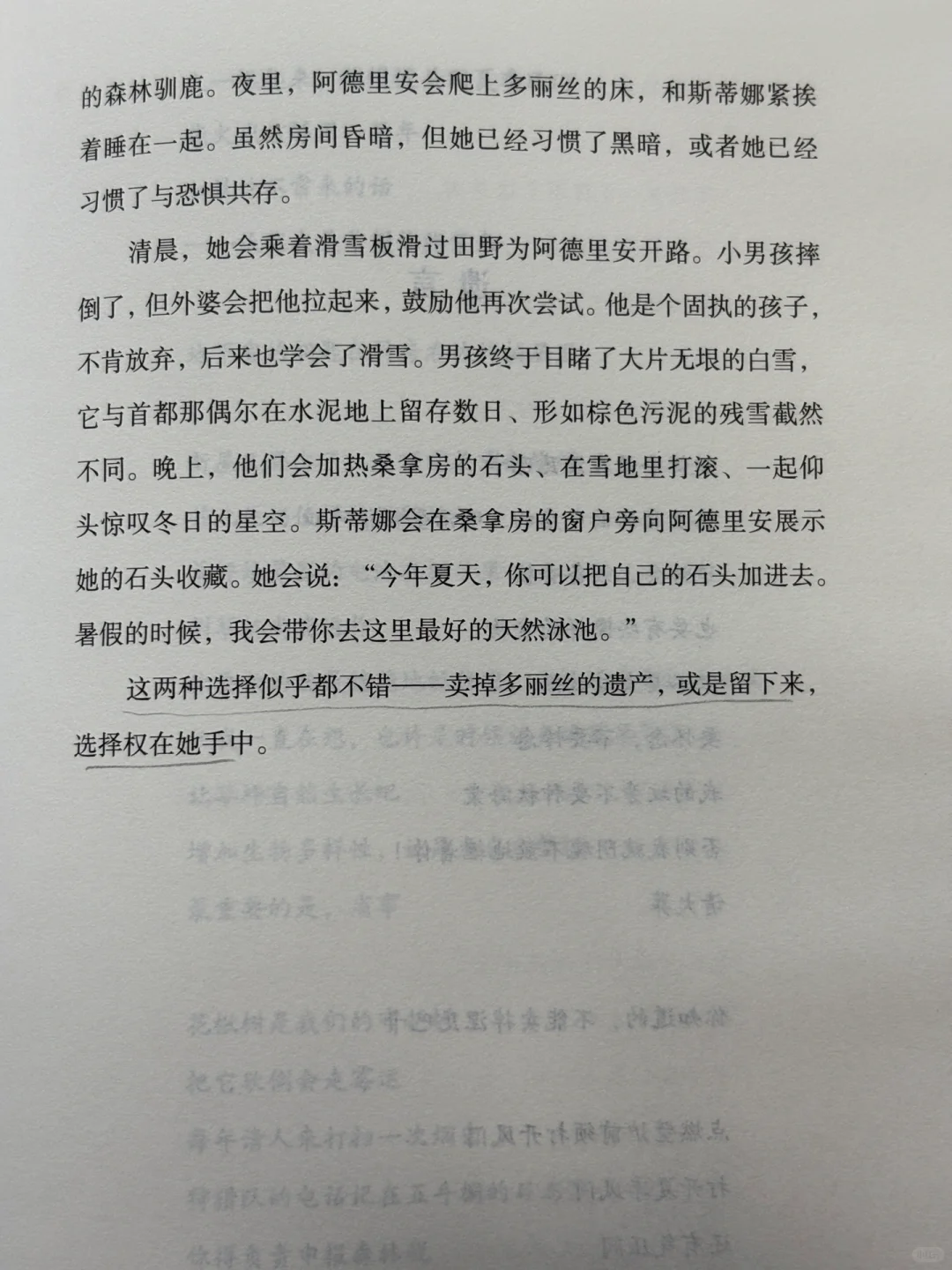 小众宝藏！这部森林系奇幻史诗。