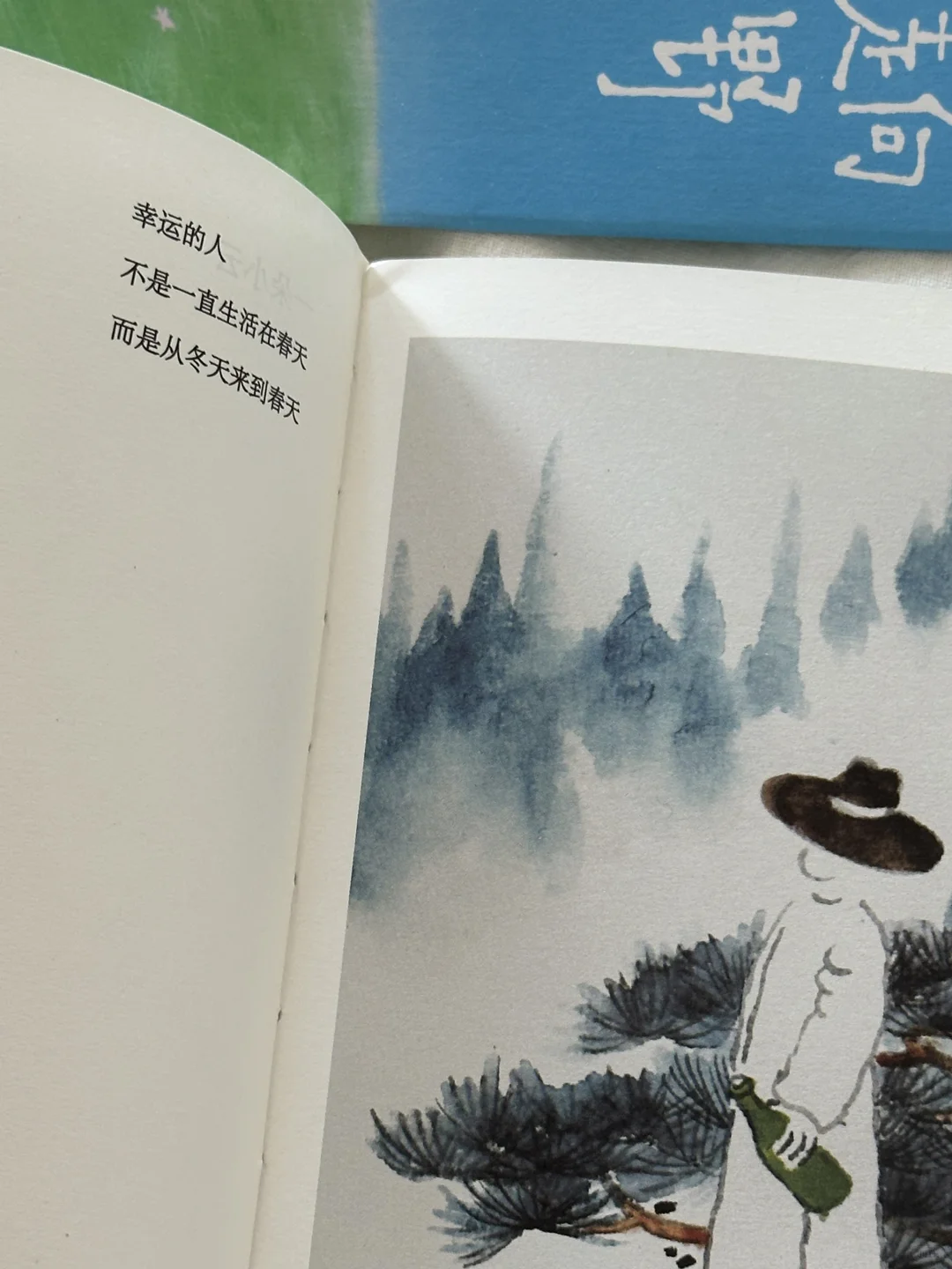 美到让人心醉！这本诗集真的太太治愈了