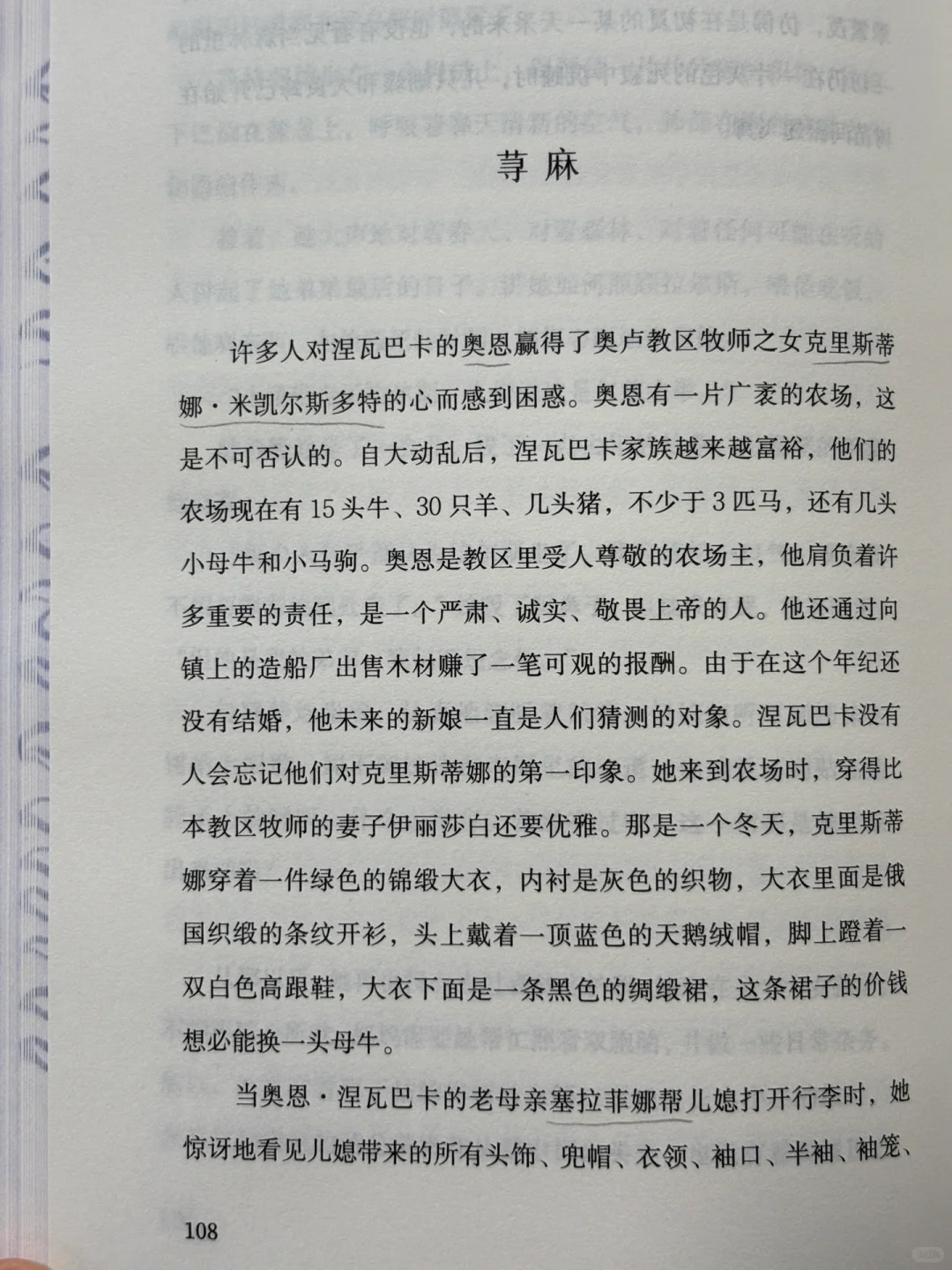 小众宝藏！这部森林系奇幻史诗。