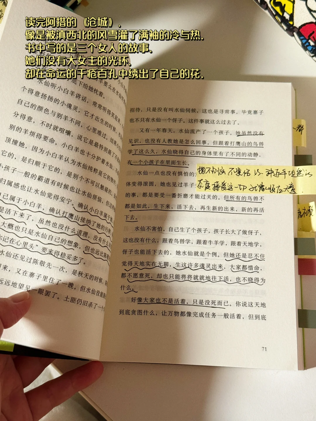 几本好看的口袋书单！