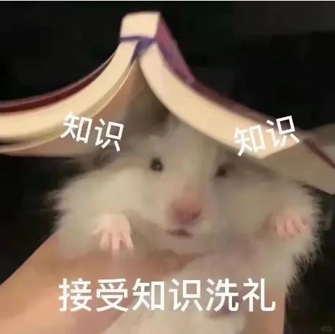 📚读书网站 | 再也不用担心找不到资源啦❗