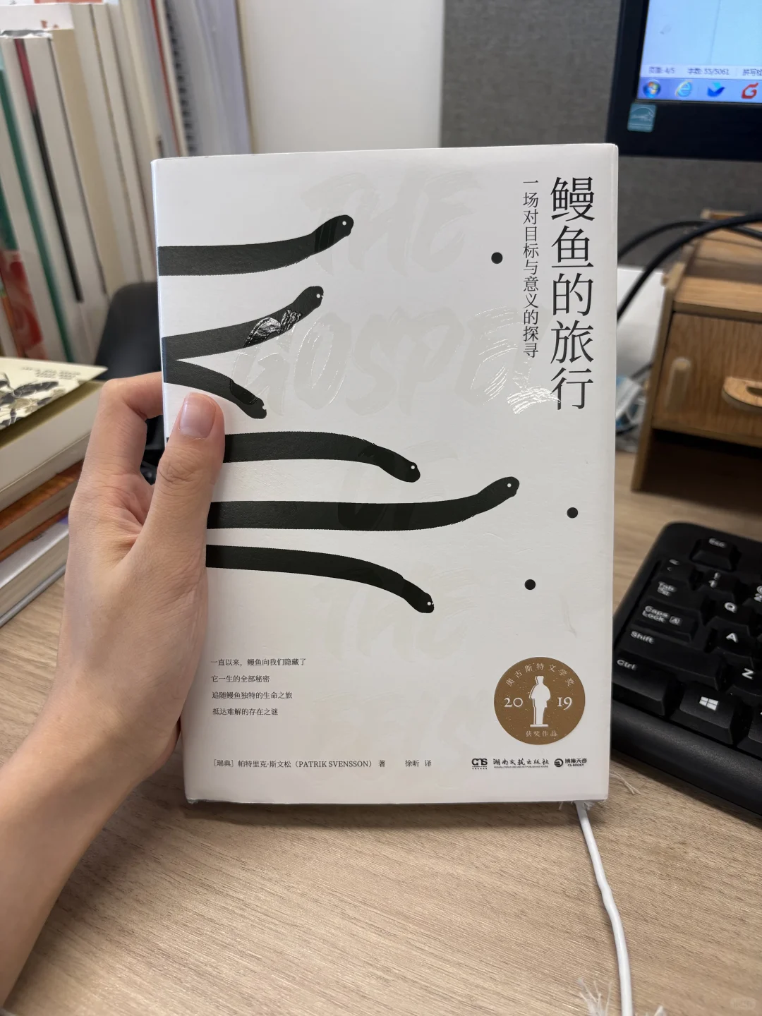 当你在鳗鱼的眼睛里看见自己
