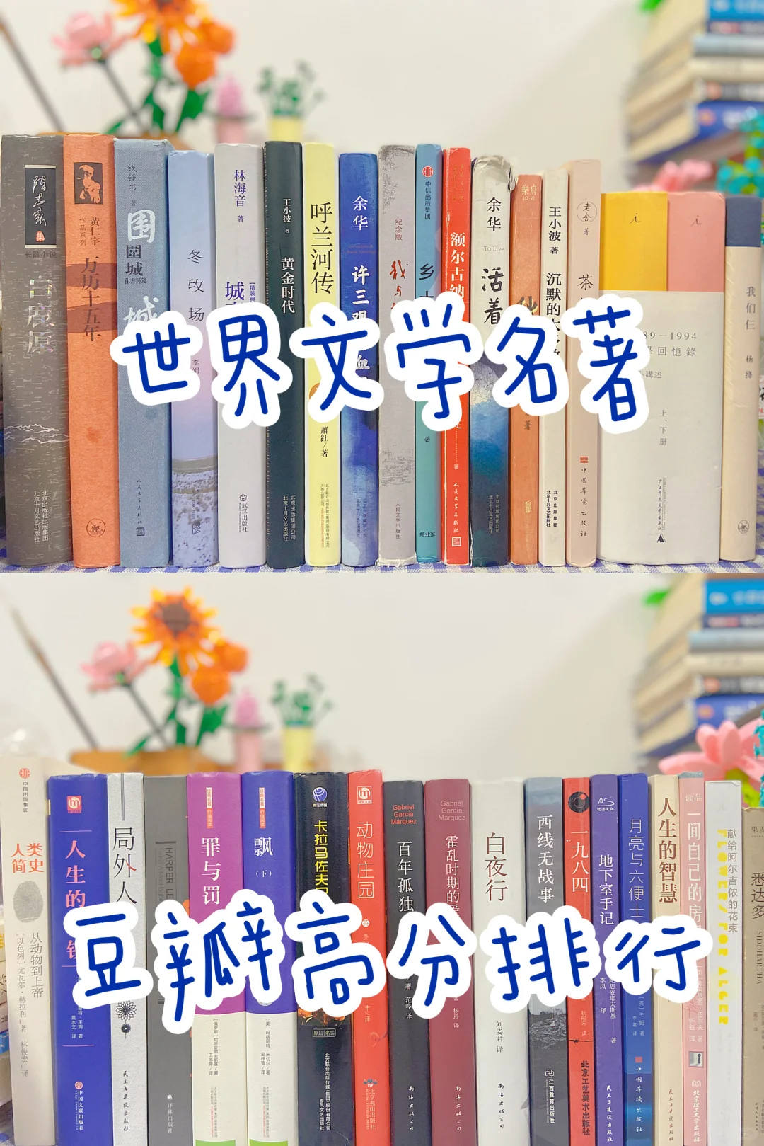 文学名著豆瓣高分排行
