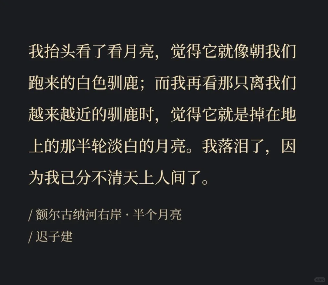 用生命诉说的故事