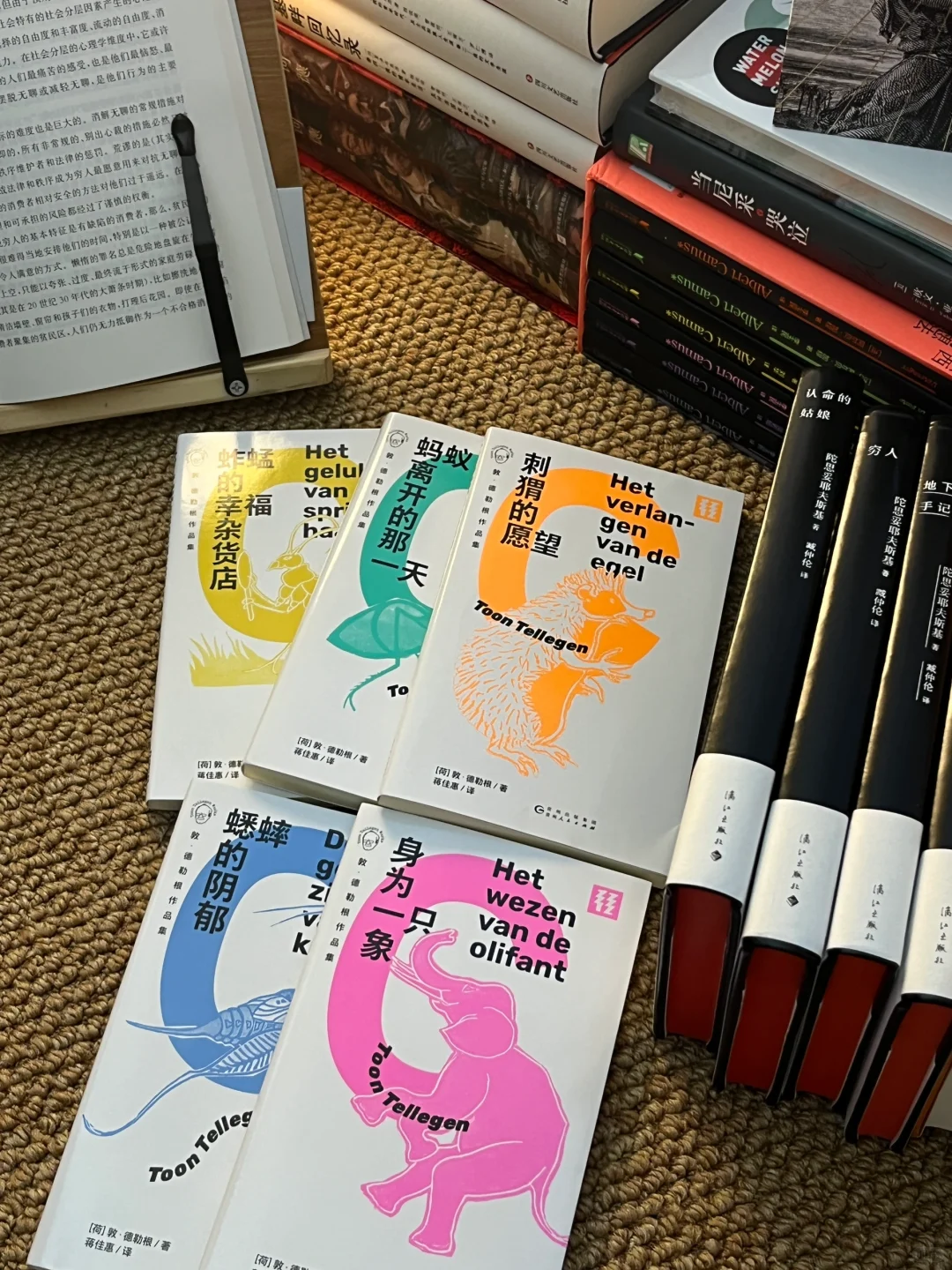 一份夏日轻松无压力中短篇书单合集