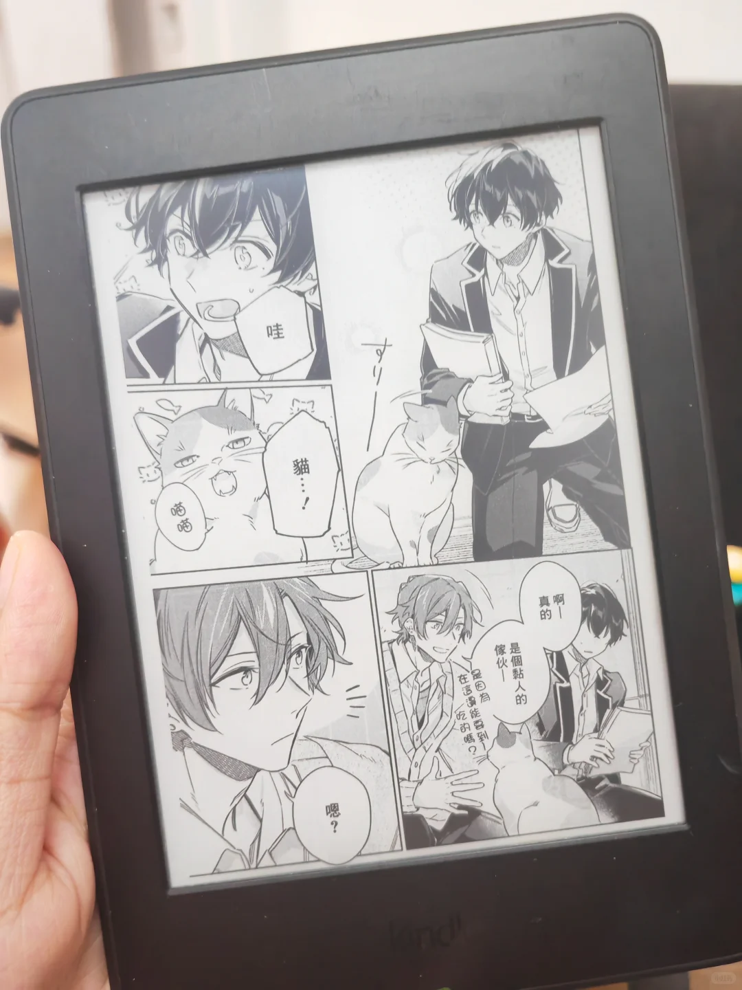 新玩具！突如其来的入了kindle