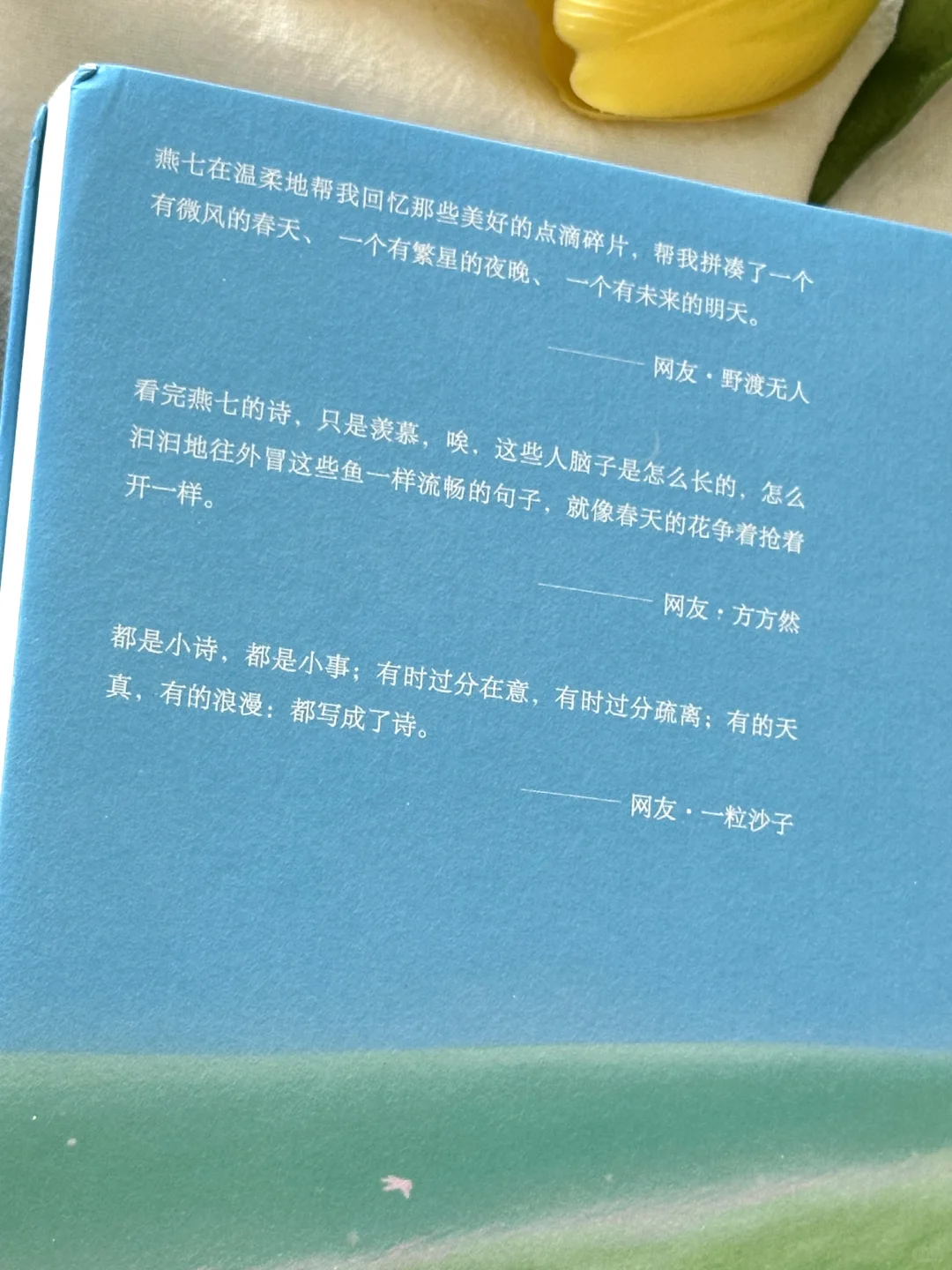 美到让人心醉！这本诗集真的太太治愈了