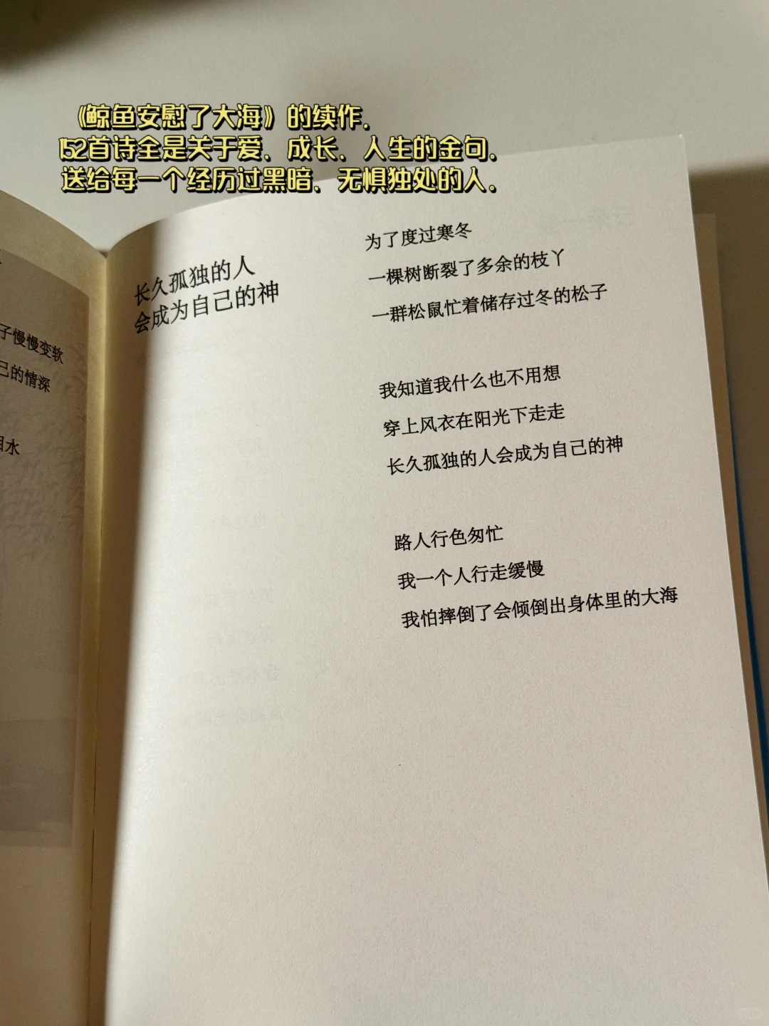 几本好看的口袋书单！