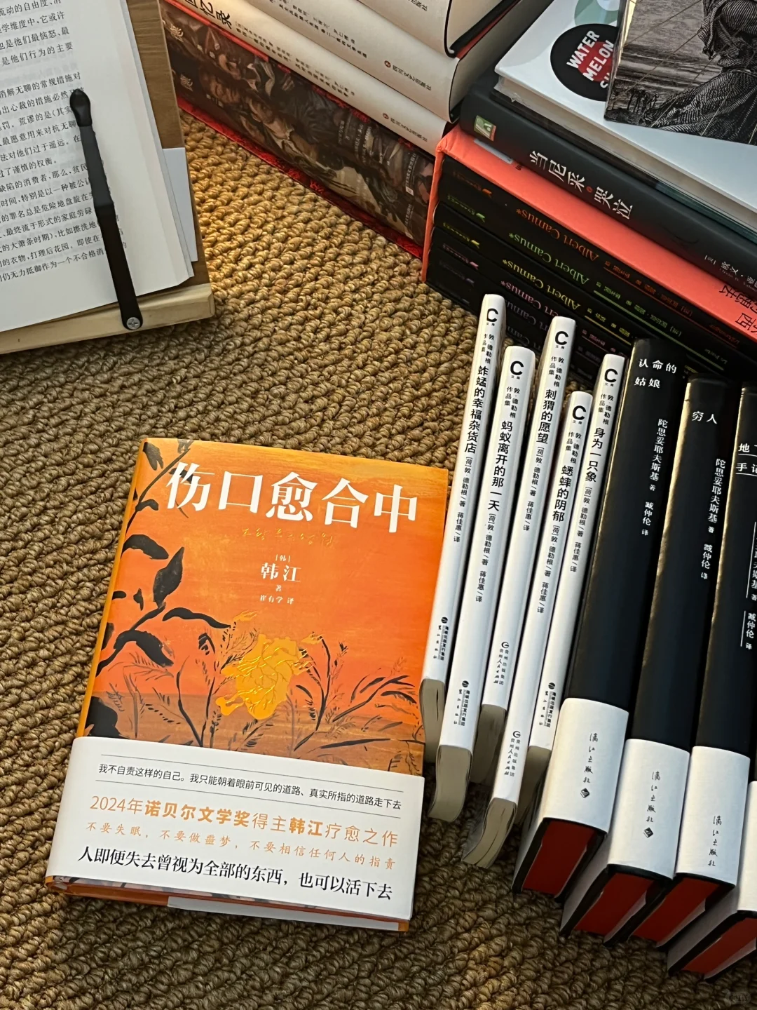 一份夏日轻松无压力中短篇书单合集