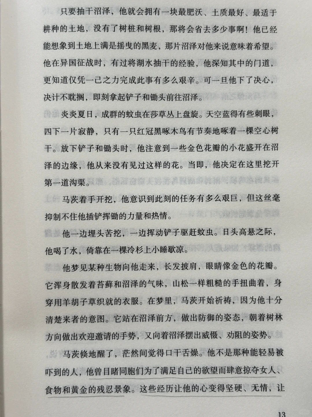 小众宝藏！这部森林系奇幻史诗。