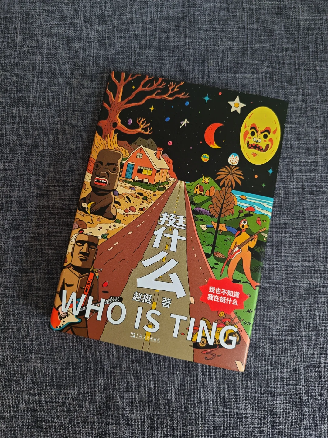 另类又荒诞，这本书真的太上头了