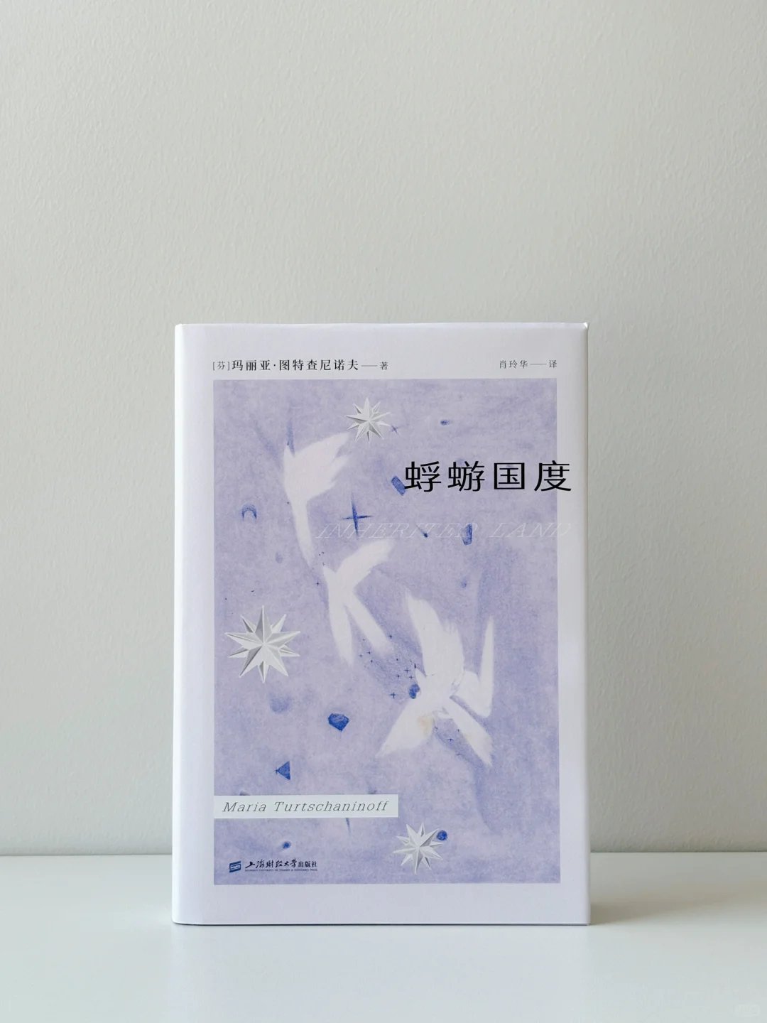 小众宝藏！这部森林系奇幻史诗。