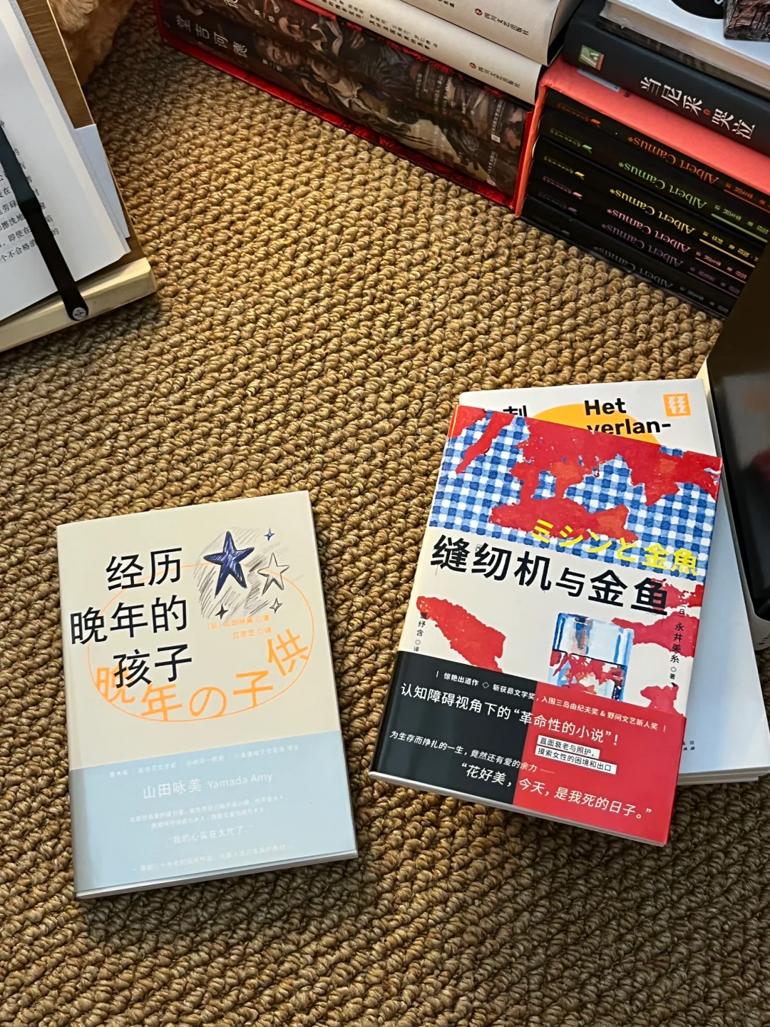一份夏日轻松无压力中短篇书单合集