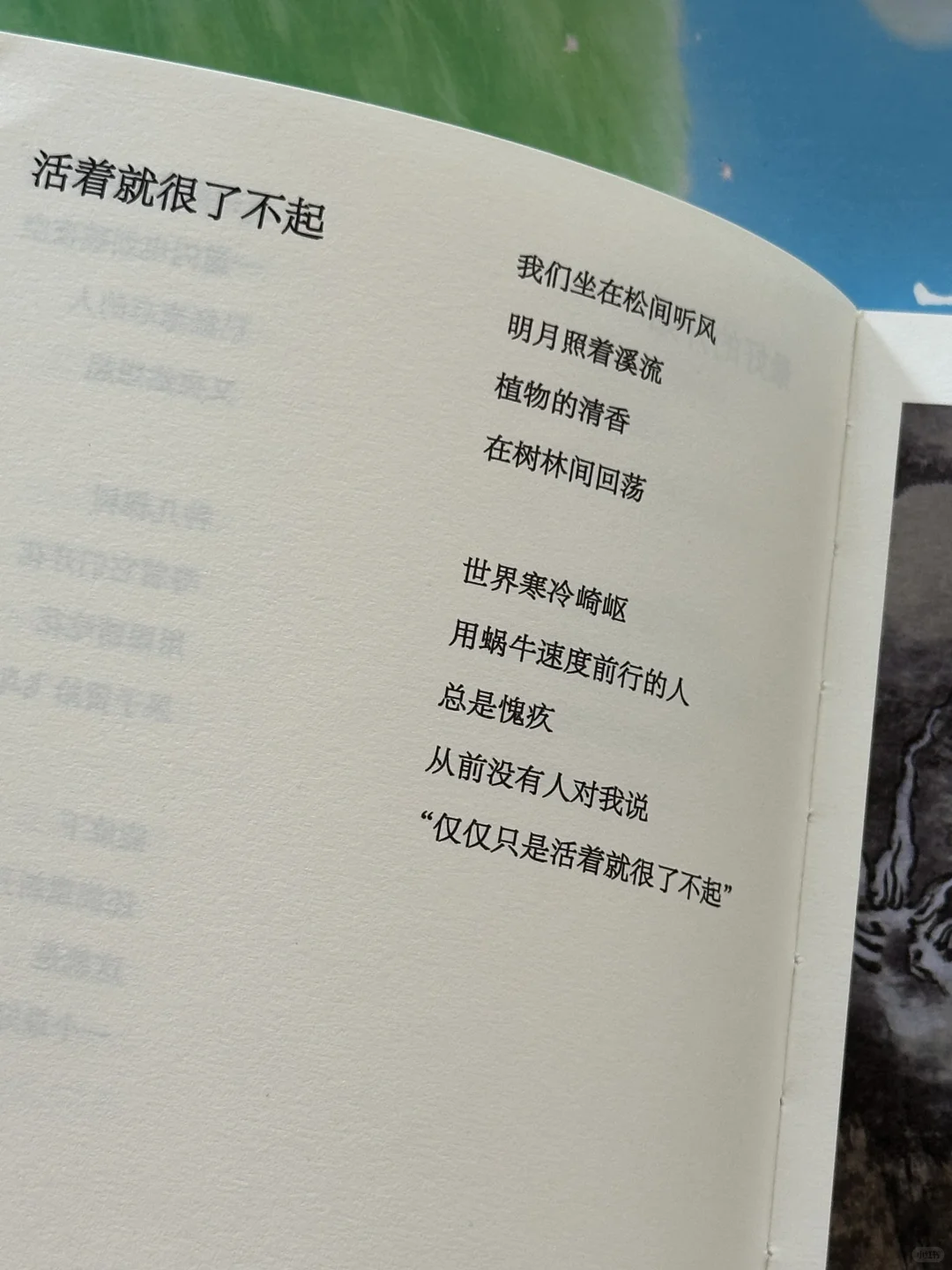 美到让人心醉！这本诗集真的太太治愈了