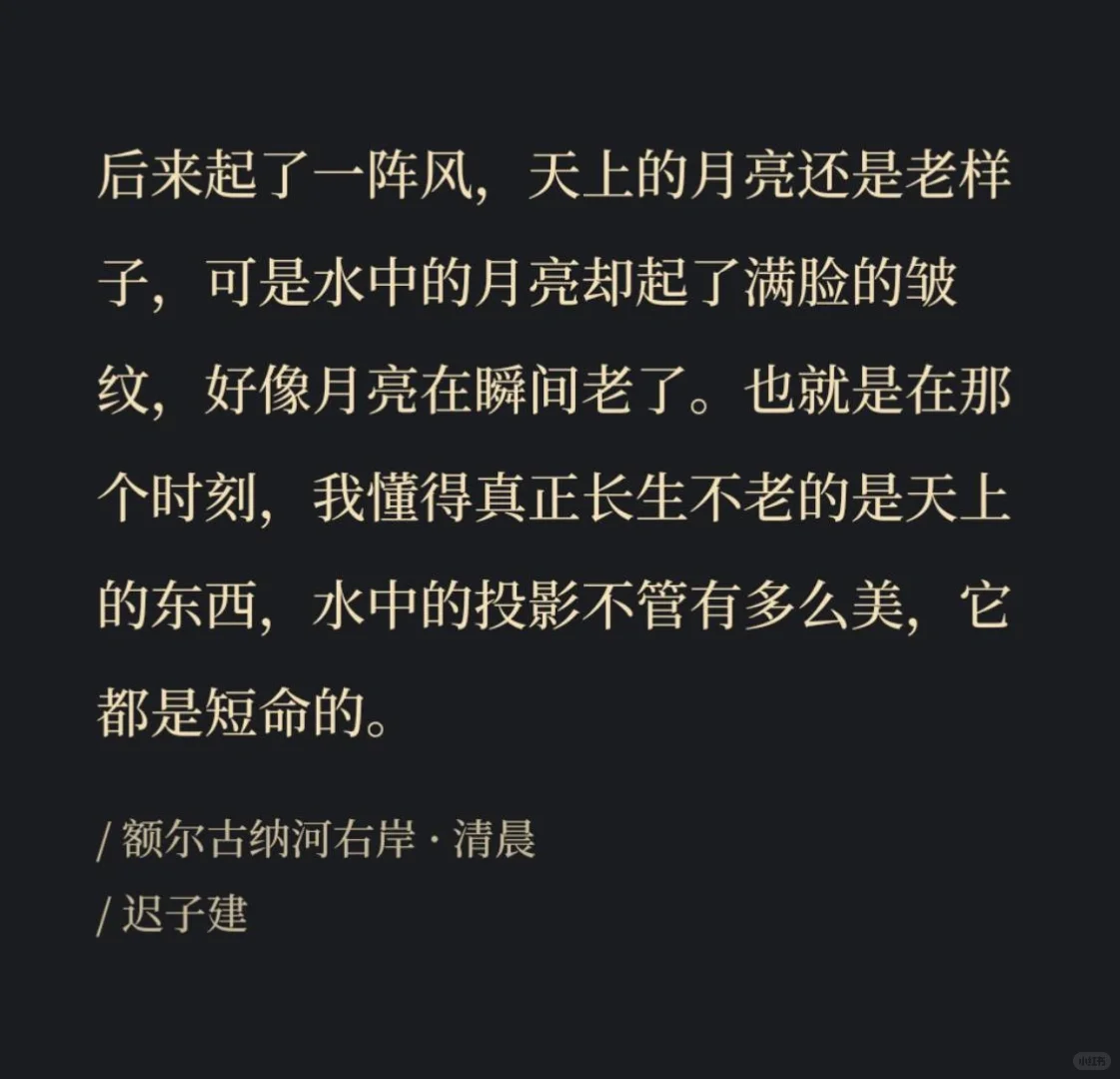 用生命诉说的故事