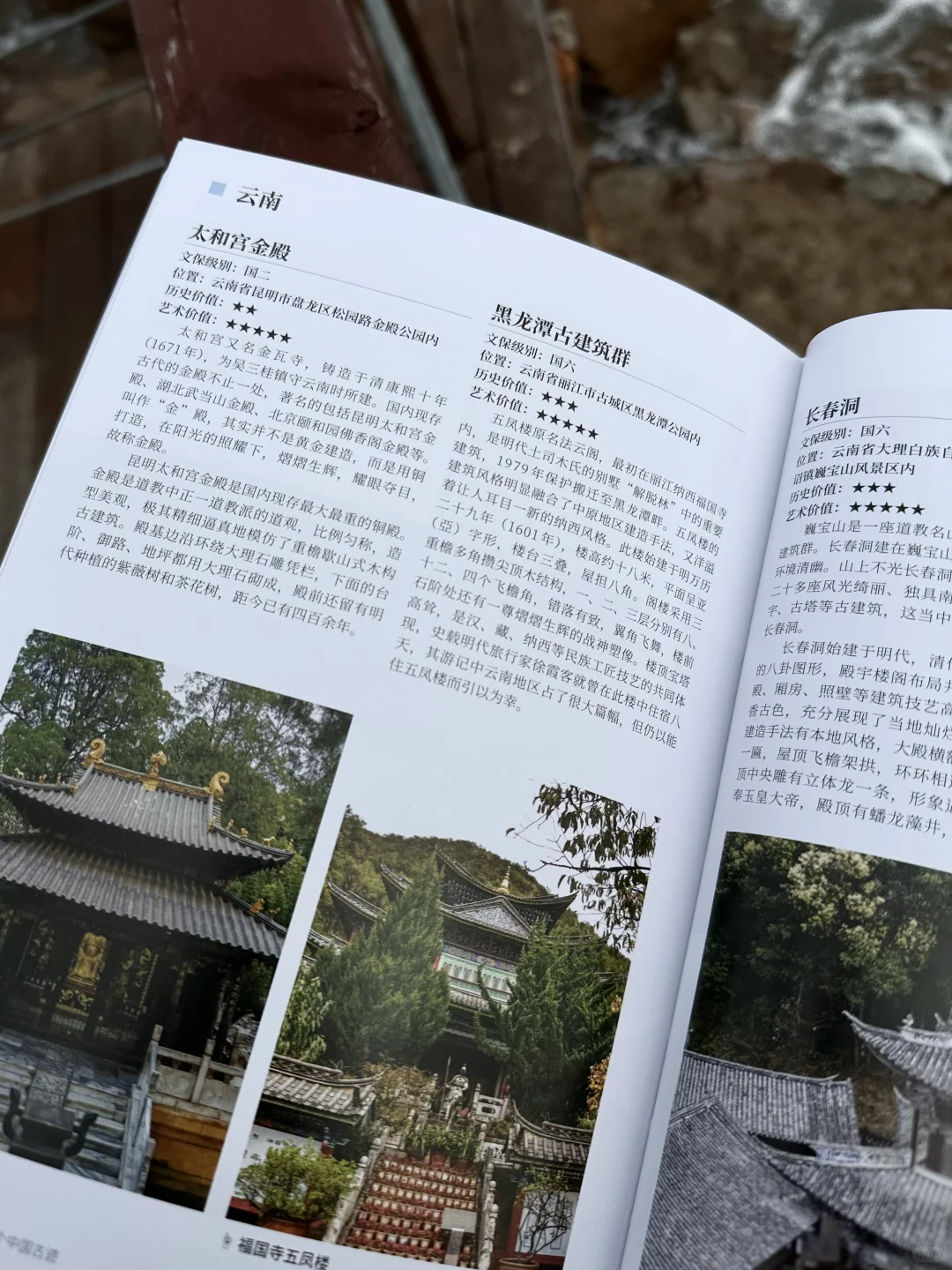 我今年读过最震撼的书！！重塑了我的世界观！！